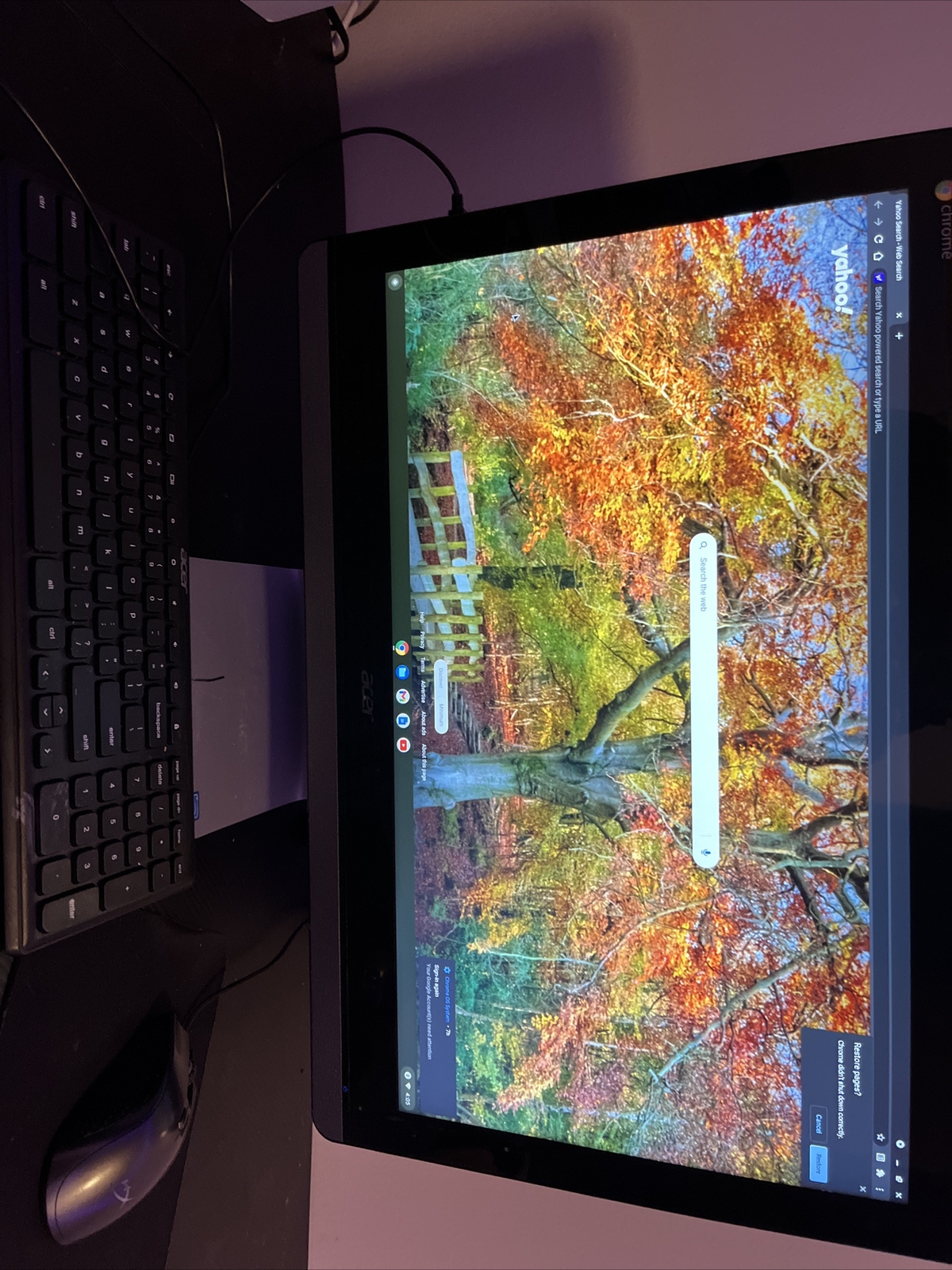 Acer Chromebook All In One (Google Chrome OS)