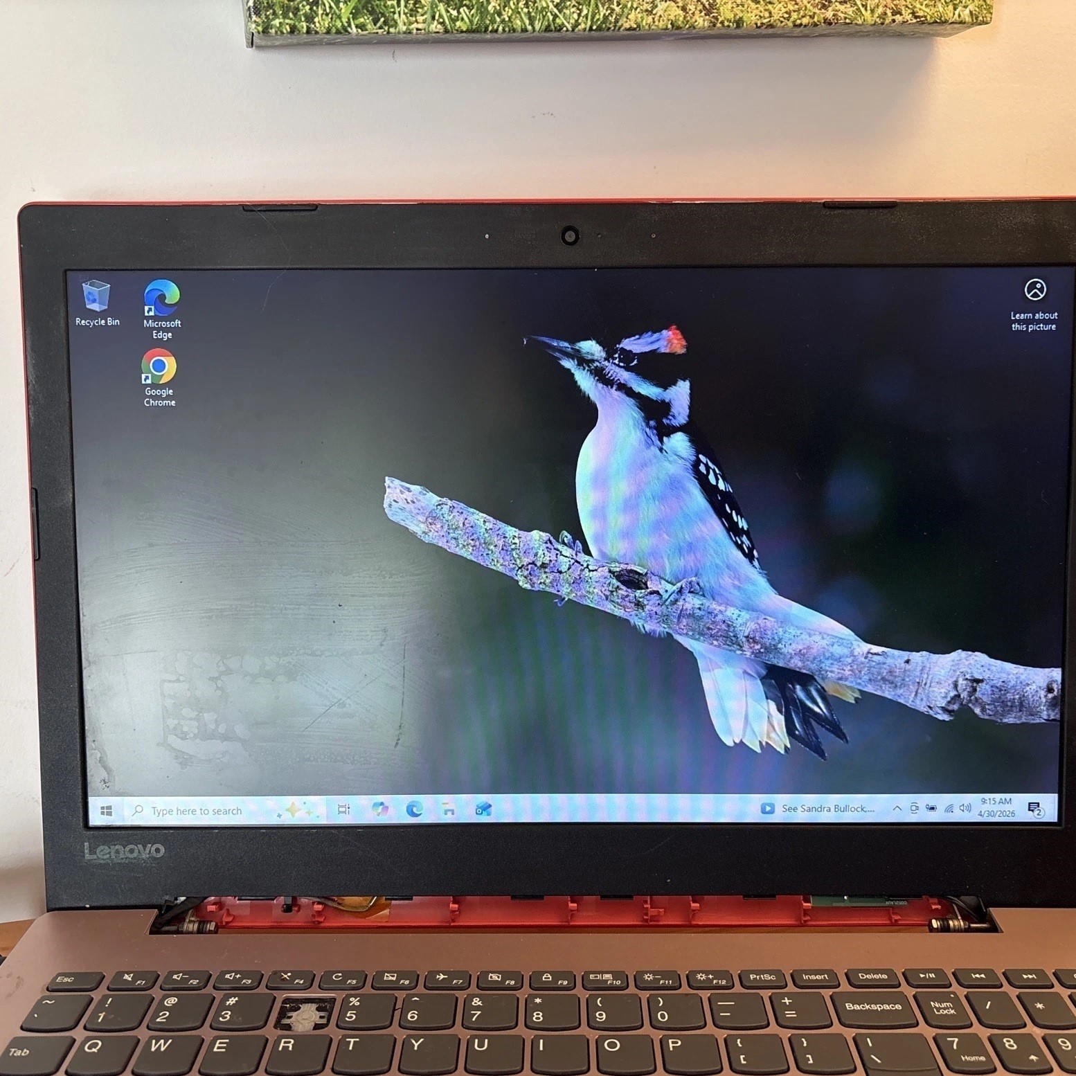 red Lenovo laptop Idea pad 330-15ikb 8 GB RAM, read issues, microsoft arc mouse
