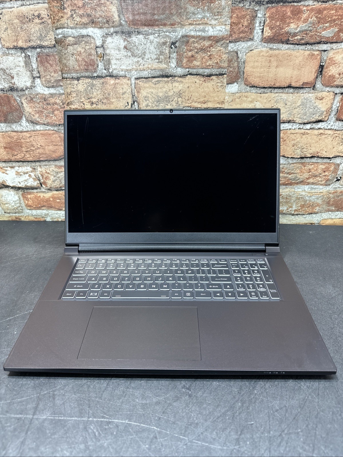 System76 Gazelle Gaze17 LCD Screen Chassis Battery Assembly No Motherboard