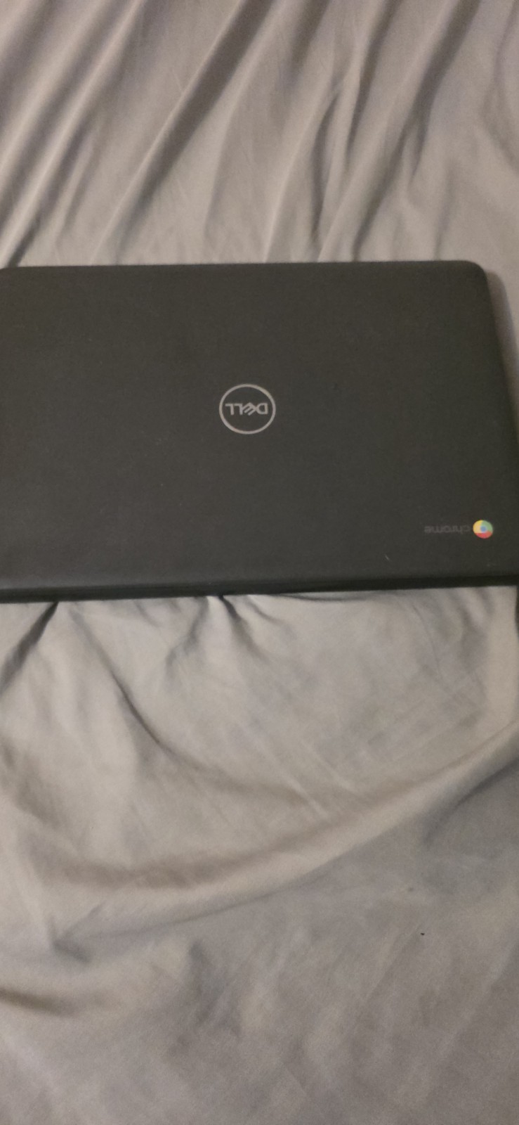 Dell Chromebook 3100 P29t