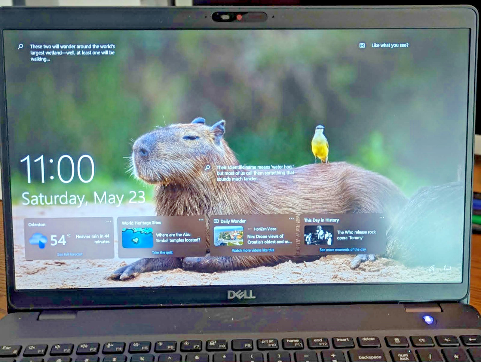 Dell Latitude 5501 Laptop i5 16GB RAM 256GB SSD – Works Plugged In