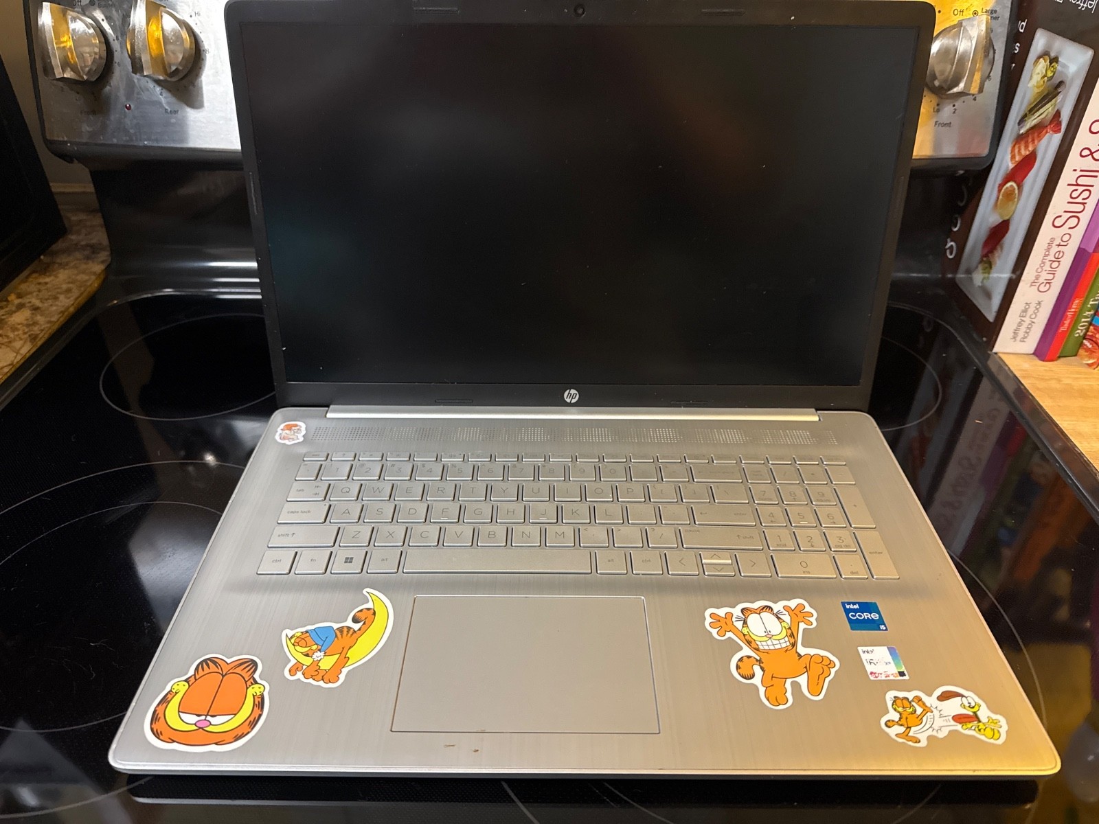 HP 17-cn0023dx 17.3″ (256GB SSD, Intel Core I5 11th Gen., 2.4GHz, 8GB) Laptop –