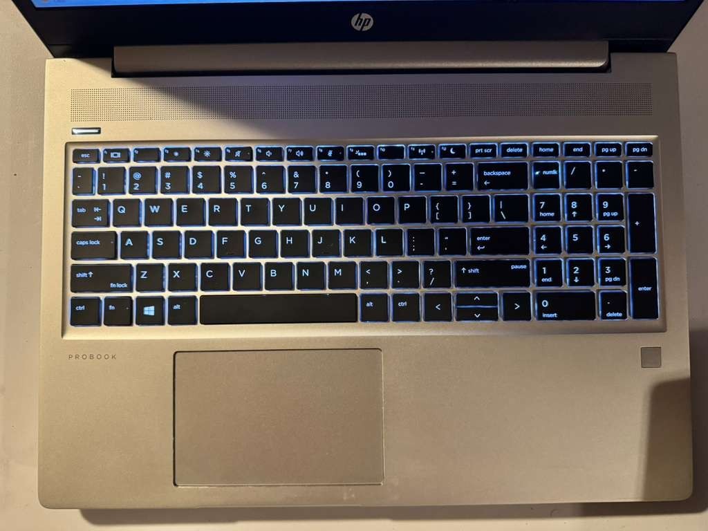 HP ProBook 455R G6 Laptop | AMD Ryzen 5 3500U 8GB RAM 256GB SSD with AC Adapter