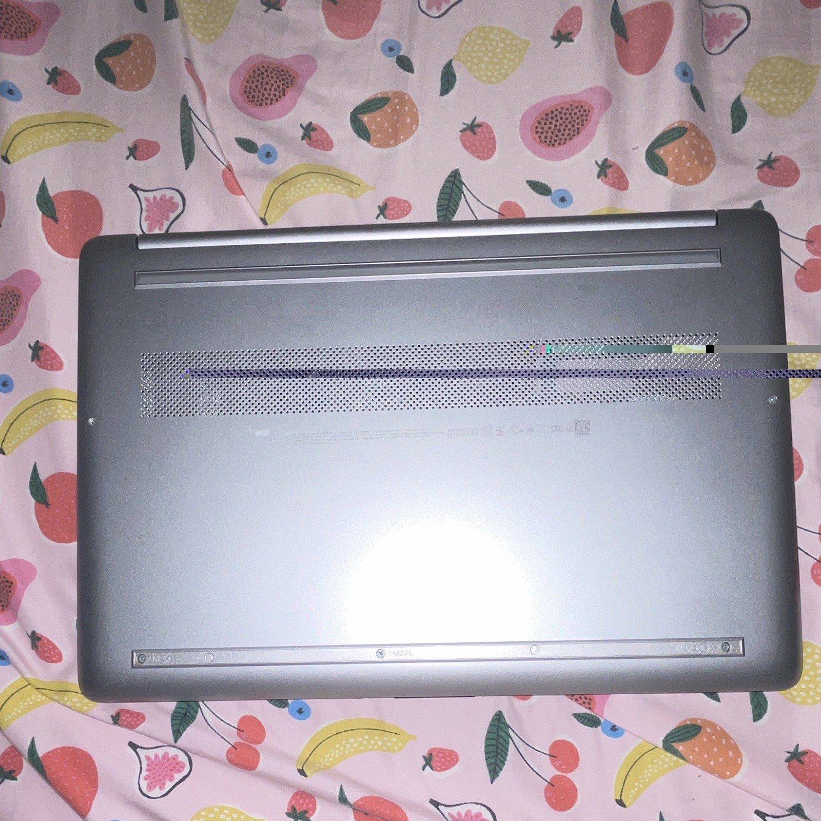 Girlie Sticker HP Touchscreen Laptop Silver with Charger