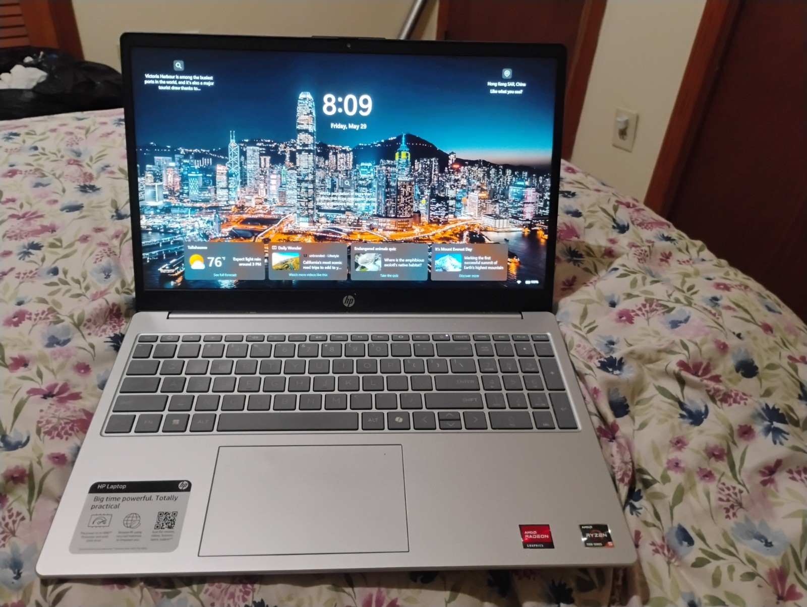 hp touch screen laptop 15.6 windows 11