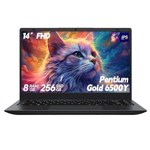 Laptop Computer, 8GB RAM 256GB SSD, Laptop with Gold 6500Y (Beat 14 Inches