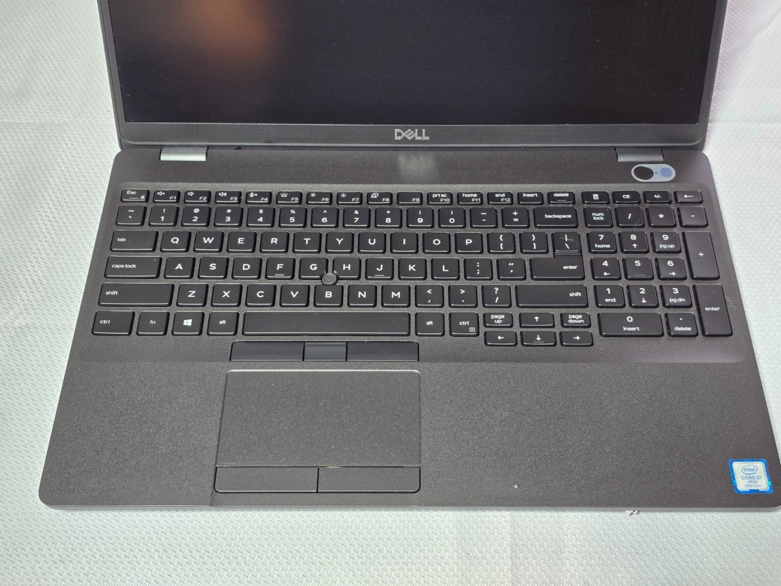 DELL LATITUDE 5501 Palm rest and display