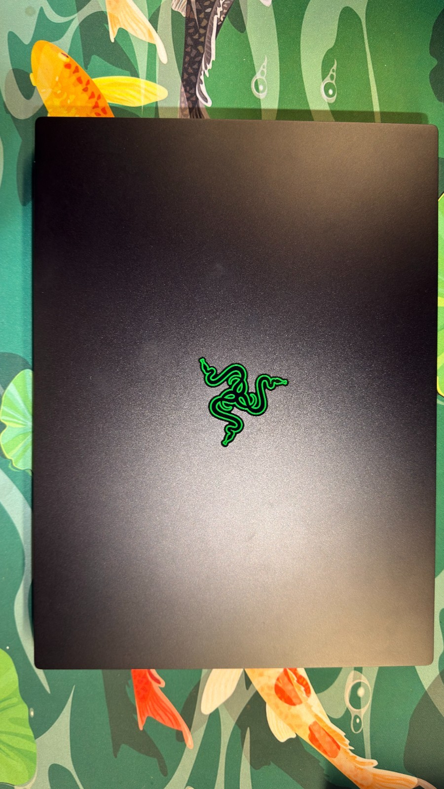 razer blade 14 RTX 4070 32 GB RAM RYZEN 9 8945HS