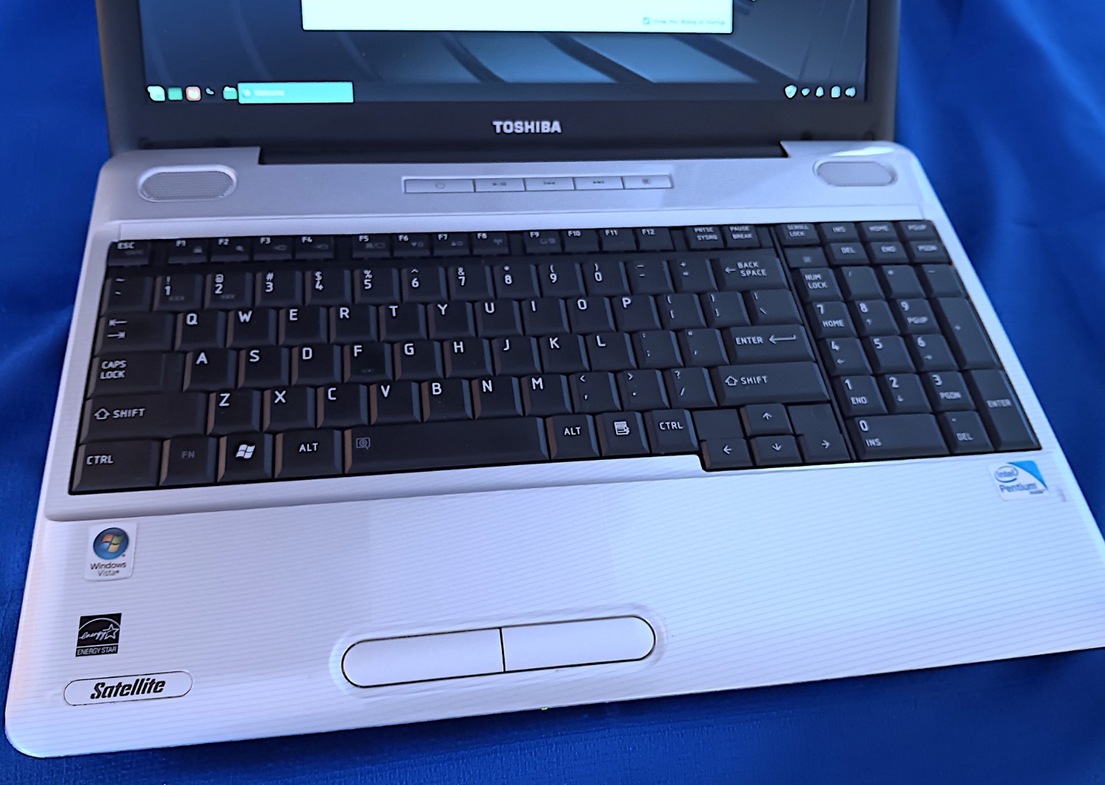 Toshiba Satellite laptop L505-S5964 Linux Mint v19 32 bit 320GB 4GB RAM w/Batt