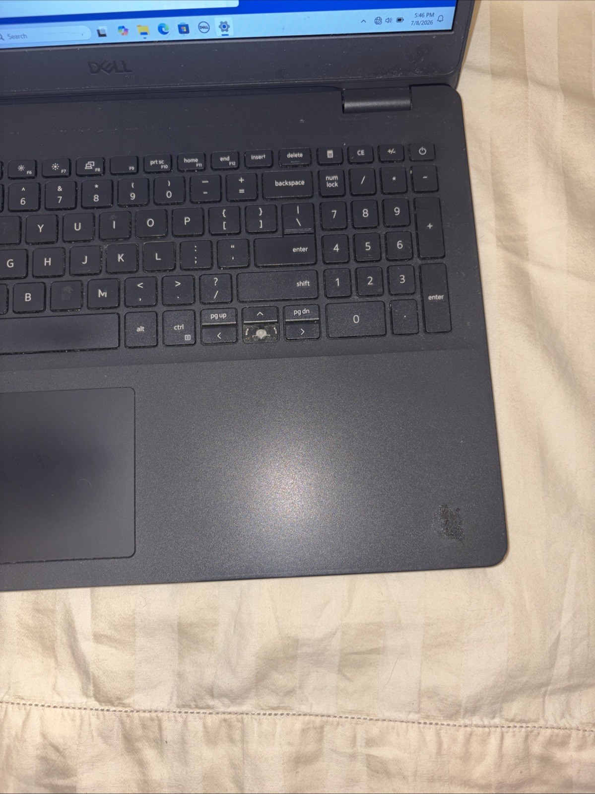 Dell Inspiron 3501 15.5in i5-1035G1 1.0 GHz 8GB 256GB 2019 WIN 11 Home
