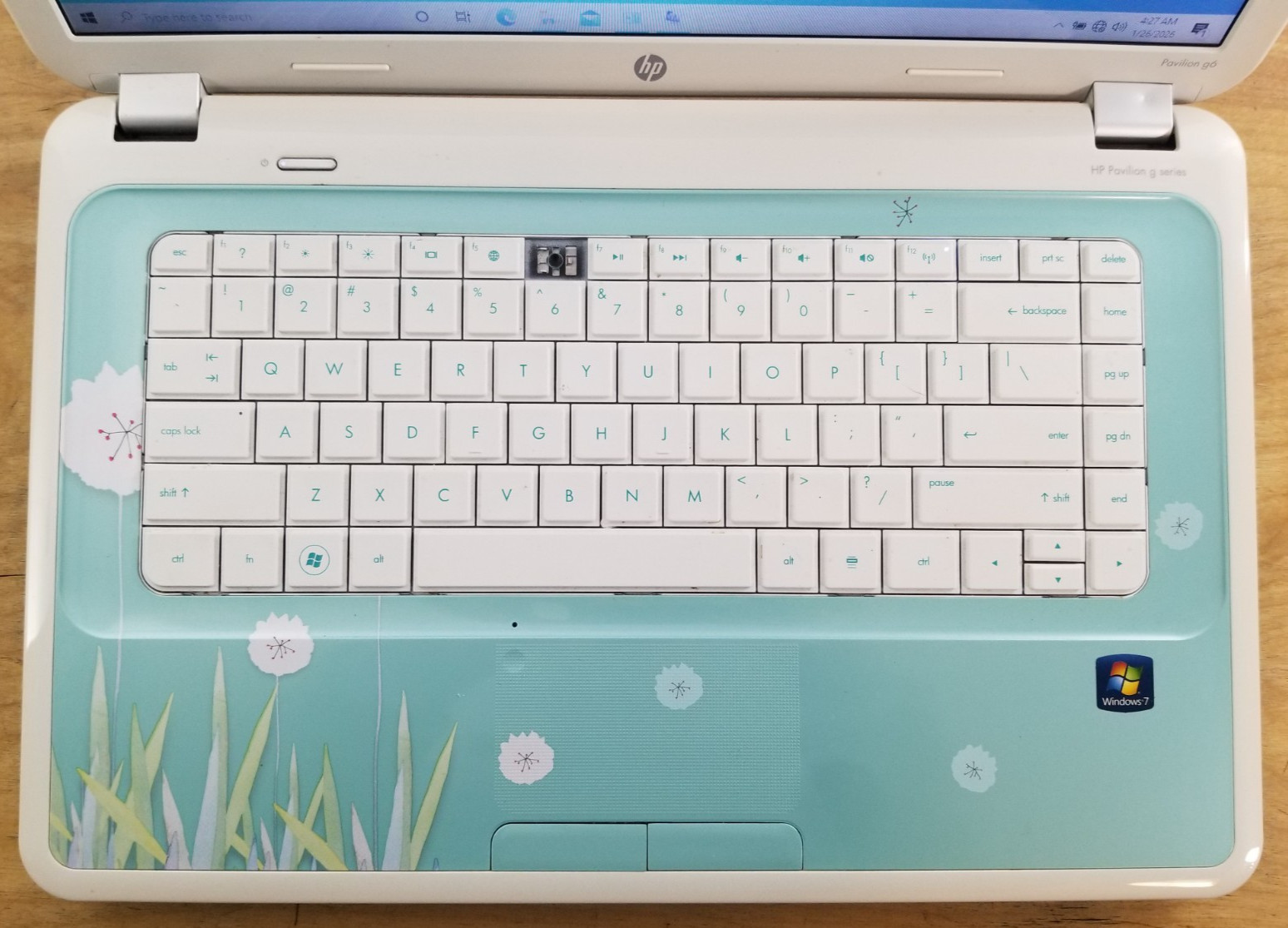 HP Pavilion G6-1B59WM AMD A4-3300M 1.9GHz 4 GB (Flowers) PLEASE READ