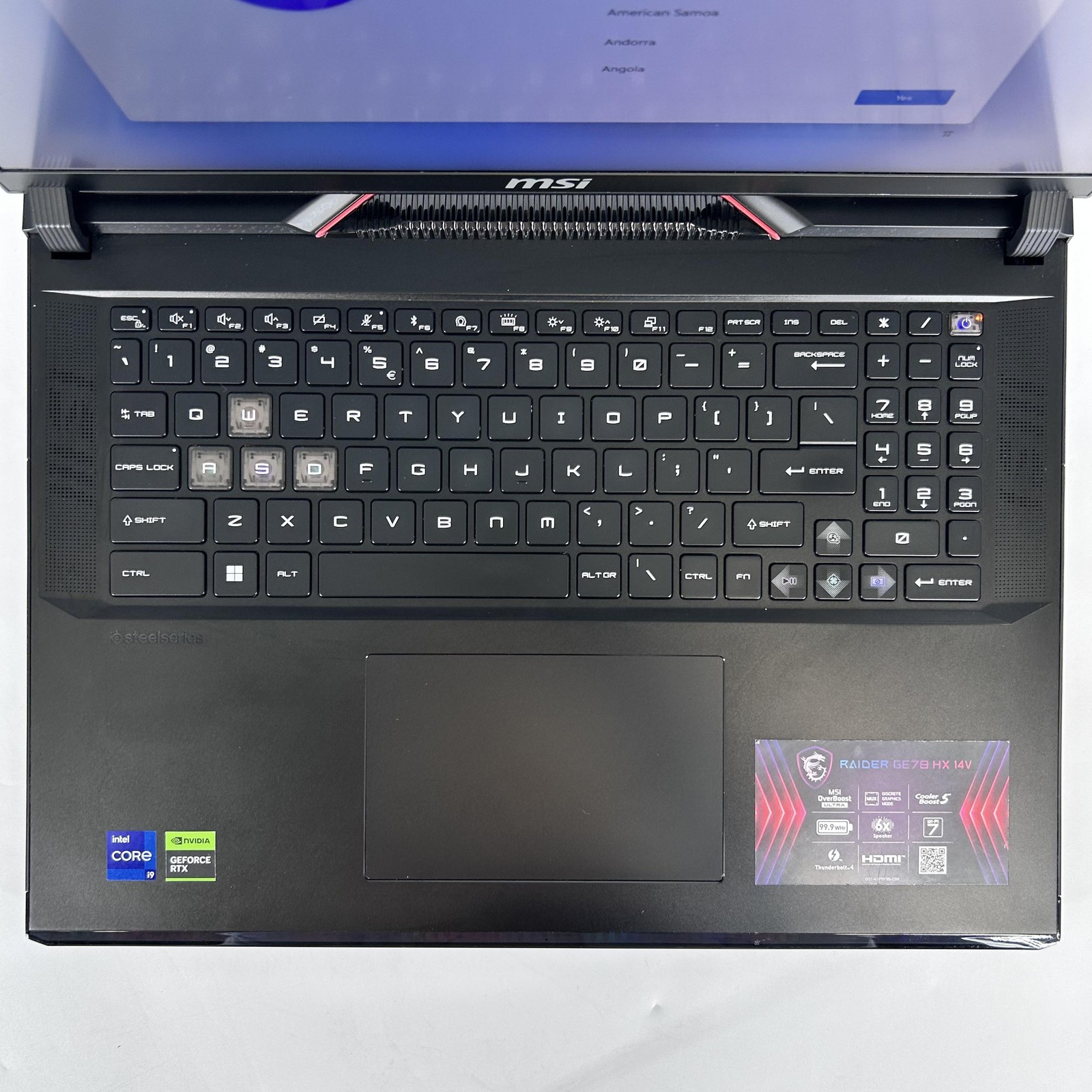 MSI Raider GE78 HX 17 QHD+2.2 GHz i9-14900HX 64GB 2TB RTX 4090 LCD Discoloration