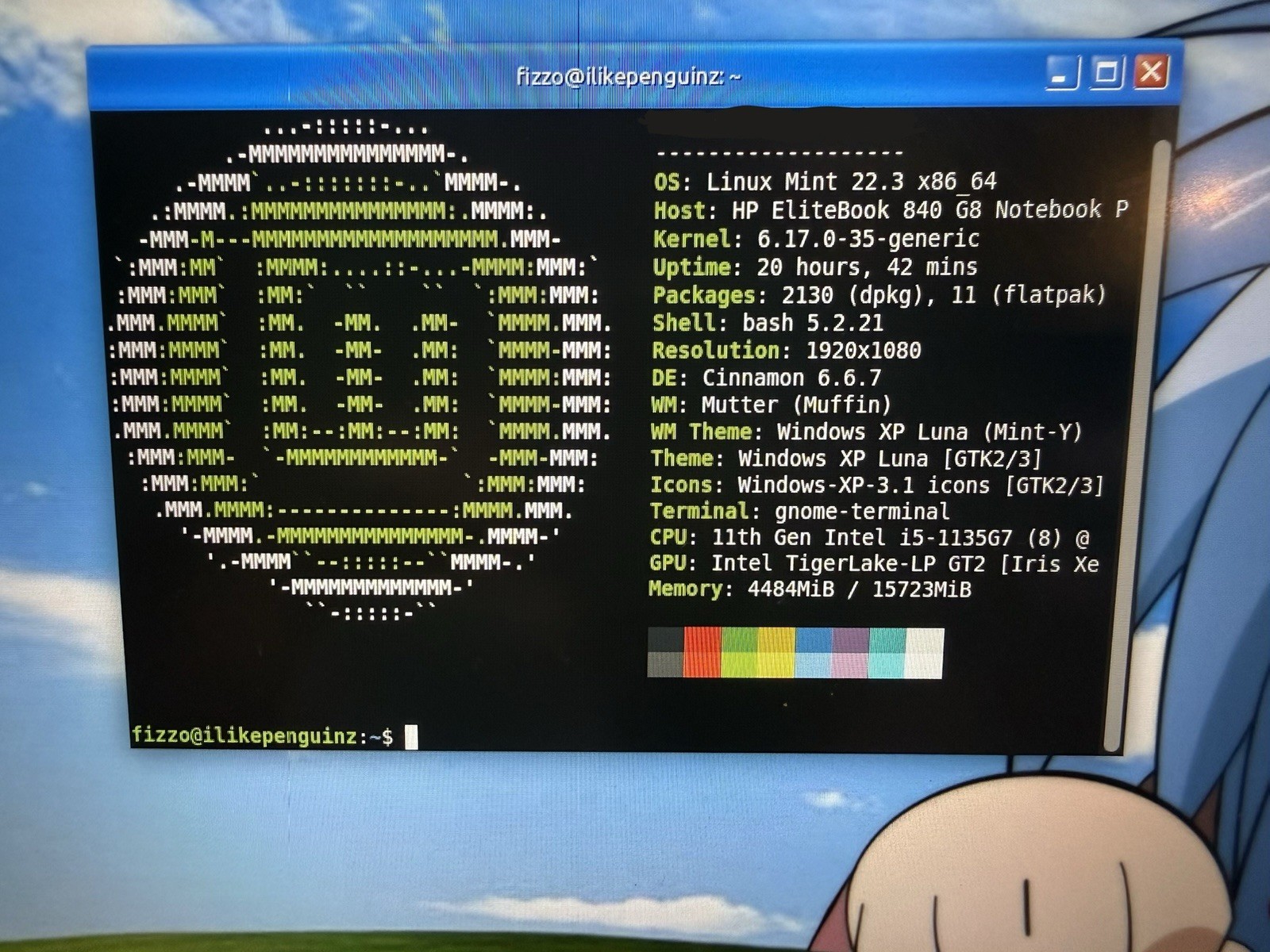 HP EliteBook 840 G8 i5-1135G7 16GB 256GB 14in FHD Linux Mint