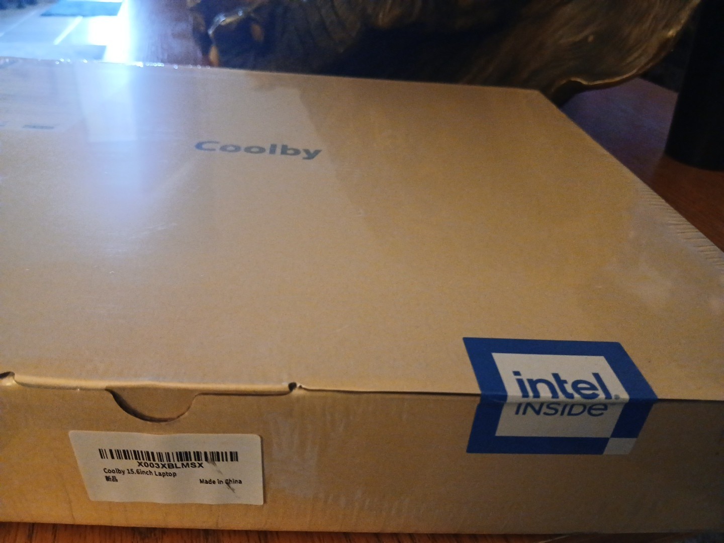 Coolby 15.6 Silent Ultra Laptop 10th Gen Intel Gemini Lake N4120 512GB Win 11pro