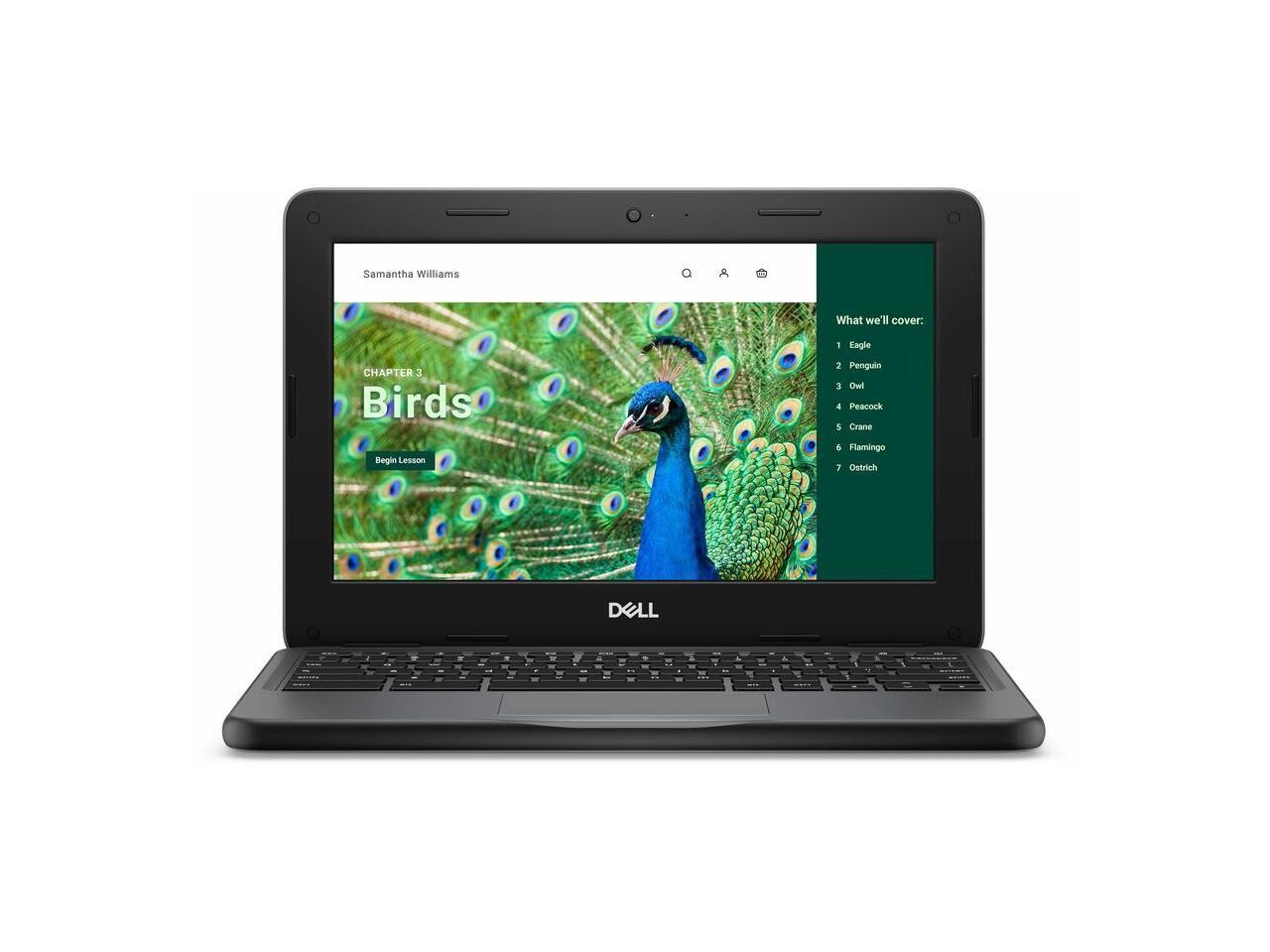 Dell Chromebook 3120 11.6″ Clamshell Chromebook – Intel N100 – 4 GB – 64 GB Flas
