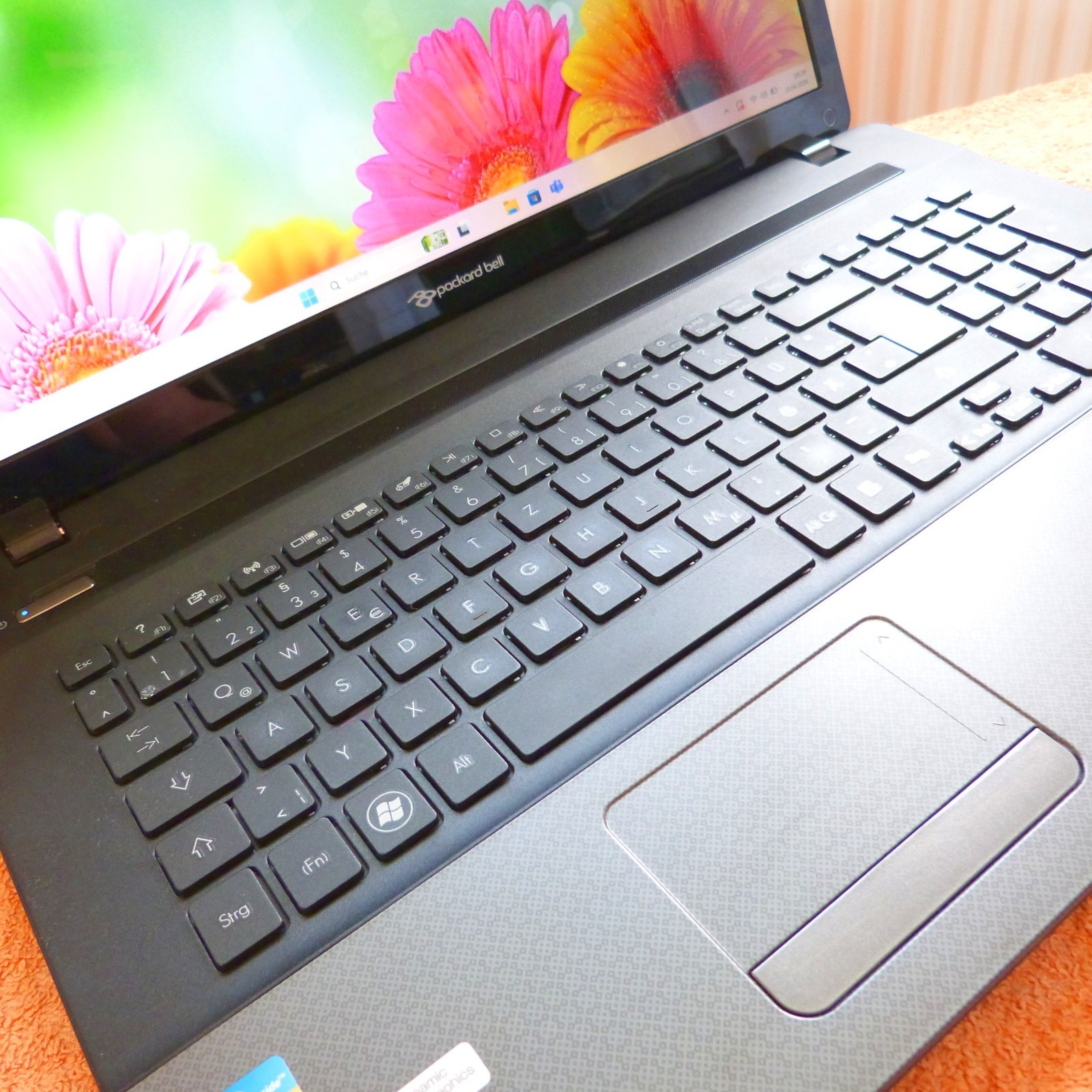 PB LS11 Multimedia 17 inch HDPLUS I 1TB SSD Windows 11 l 8GB RAM Core i7 DVDRW