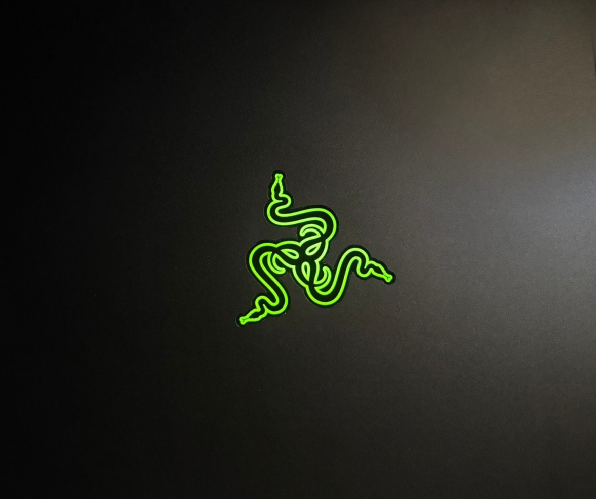 Razer Blade Stealth RZ09-0196 (8GB RAM, 128GB SSD) Laptop