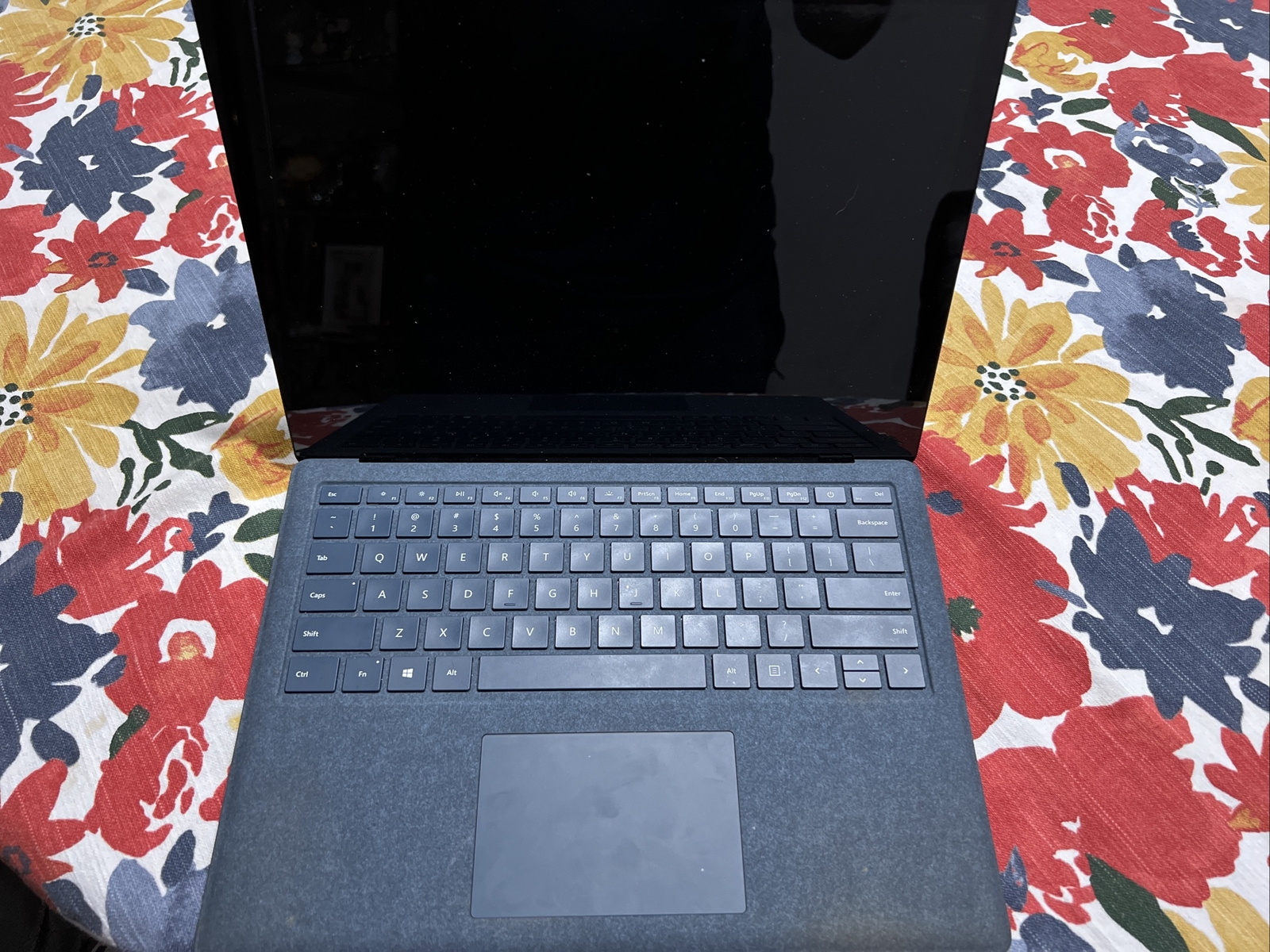 Microsoft Surface Laptop 2 13.5 Inch (256 GB, Intel Core i5 8th Gen., 1.60 GHz,
