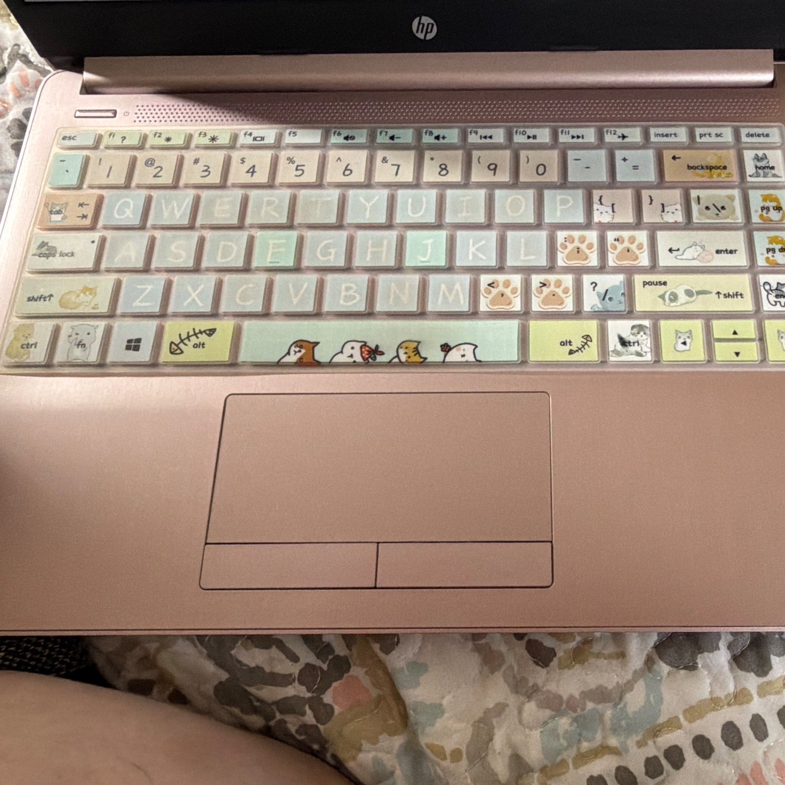 HP Pavilion 14in Laptop Cat Accessory Keyboard