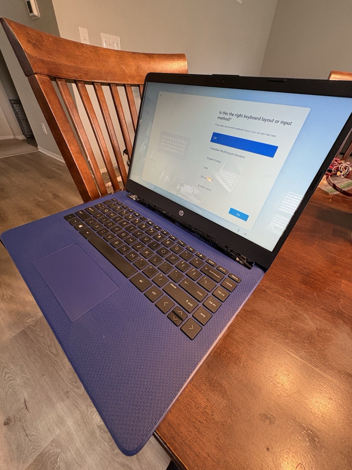 HP Laptop Blue Windows 11 Intel UHD Graphics 600