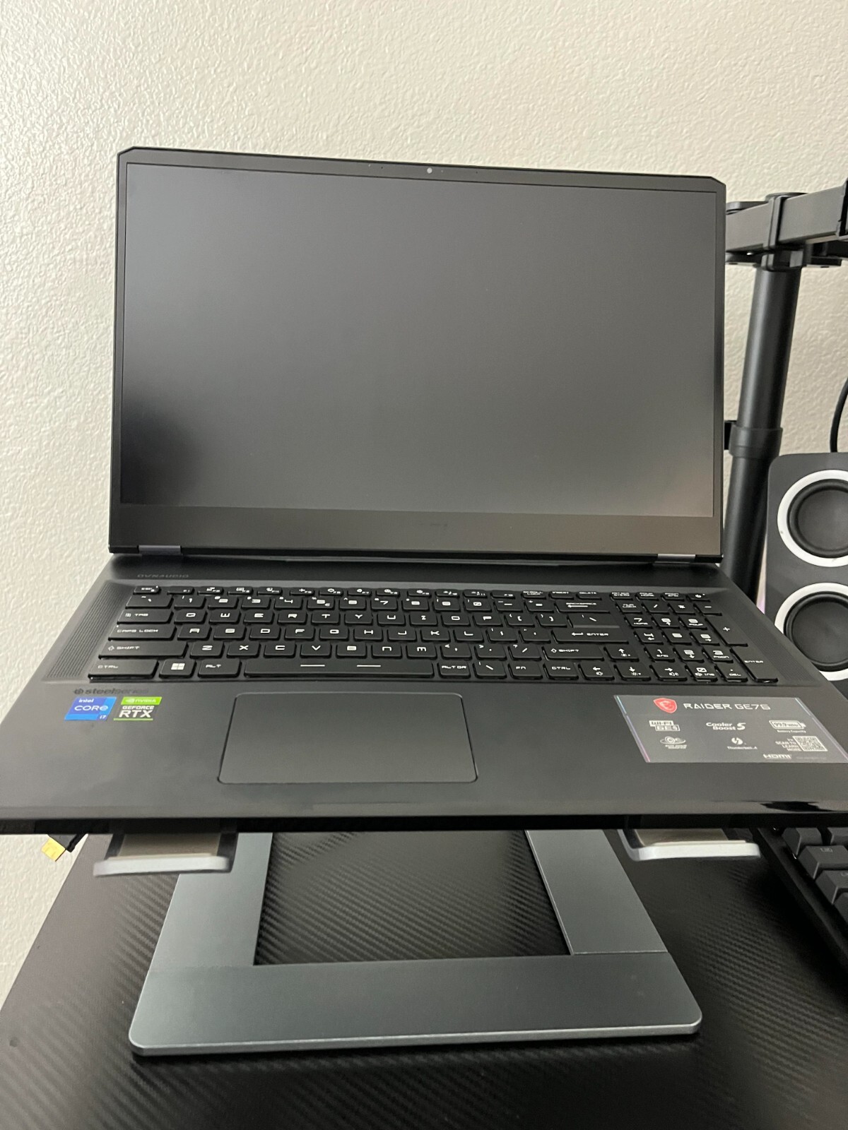 MSI GE76 Raider Gaming Laptop