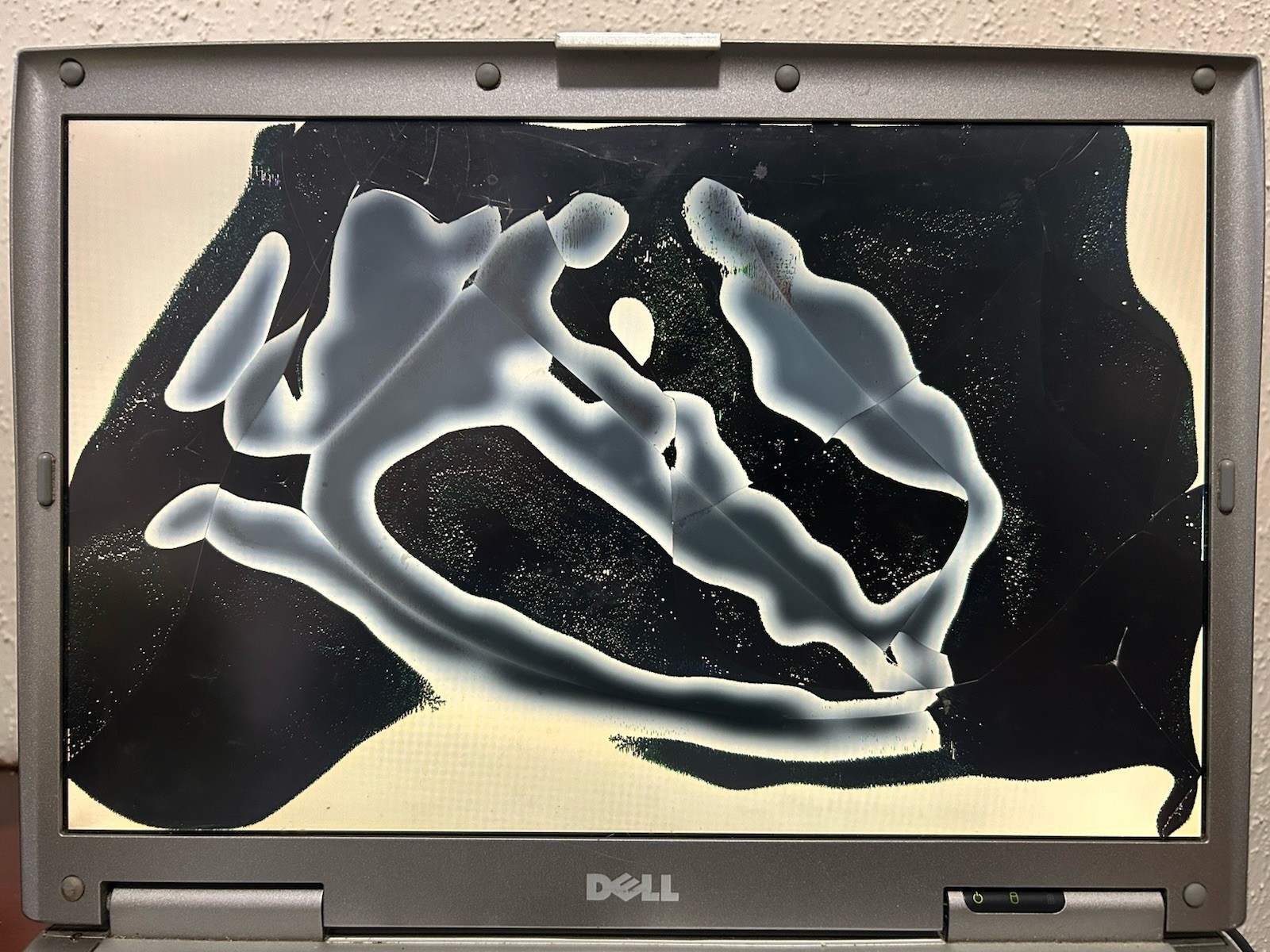 Dell Latitude D810 512 MB RAM No HDD No WiFi Card No Optical Drive ..Power On