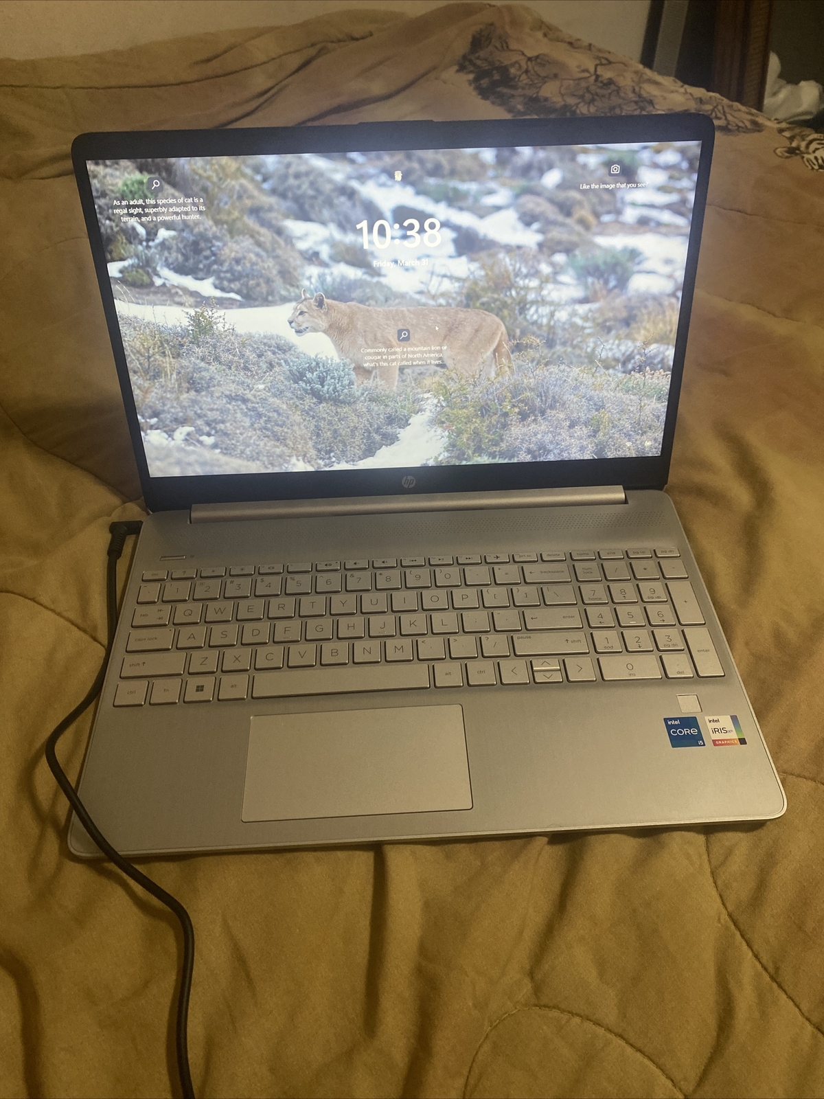 HP 15-dy2703dx 15.6″ (512GB SSD, Intel Core i5 11th Gen., 4.20 GHz, 8GB) Laptop