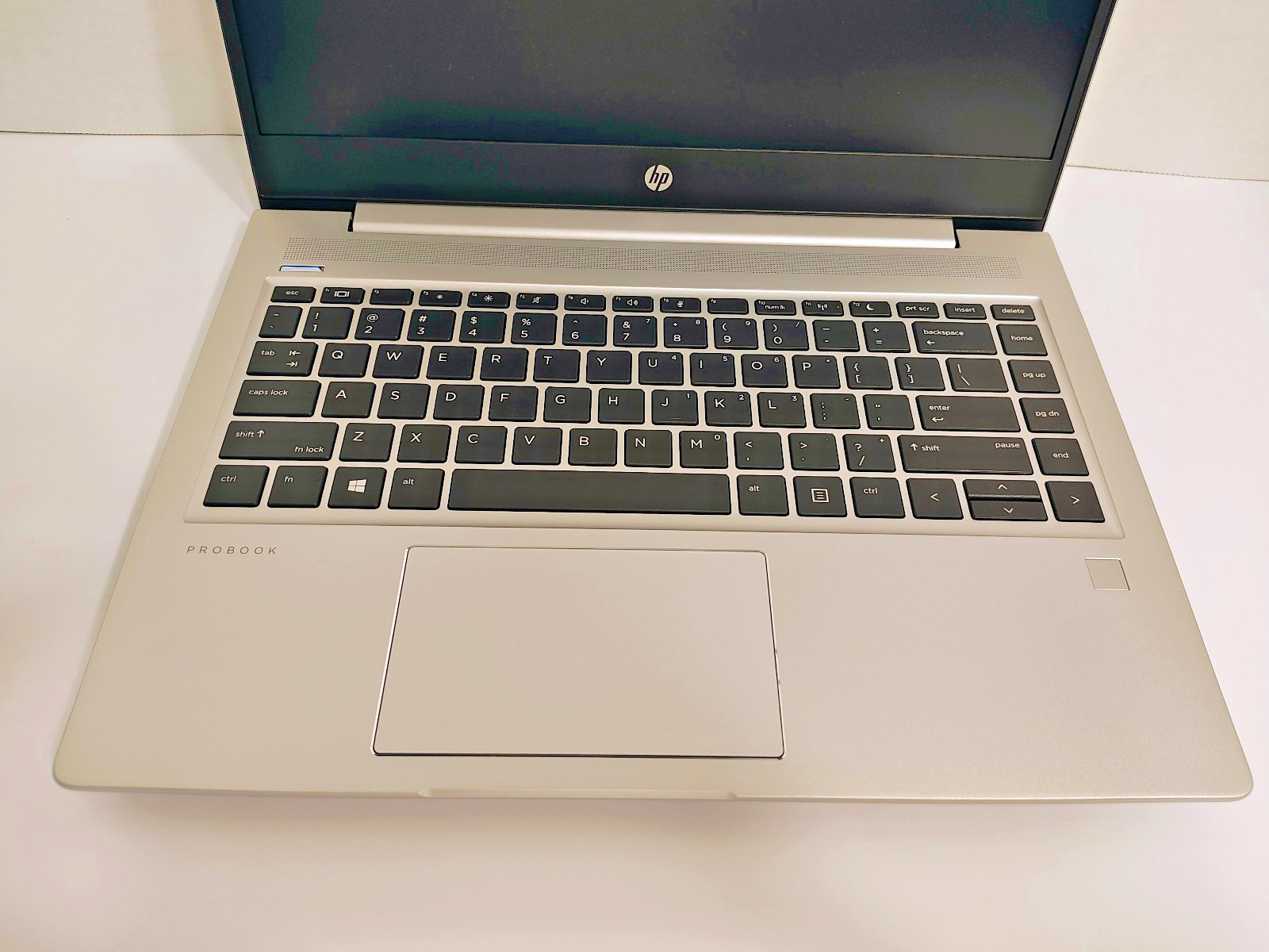 HP ProBook 445R G6 | 16GB RAM | 256GB SSD | Linux Mint 22 | Light, Slim, Portabl