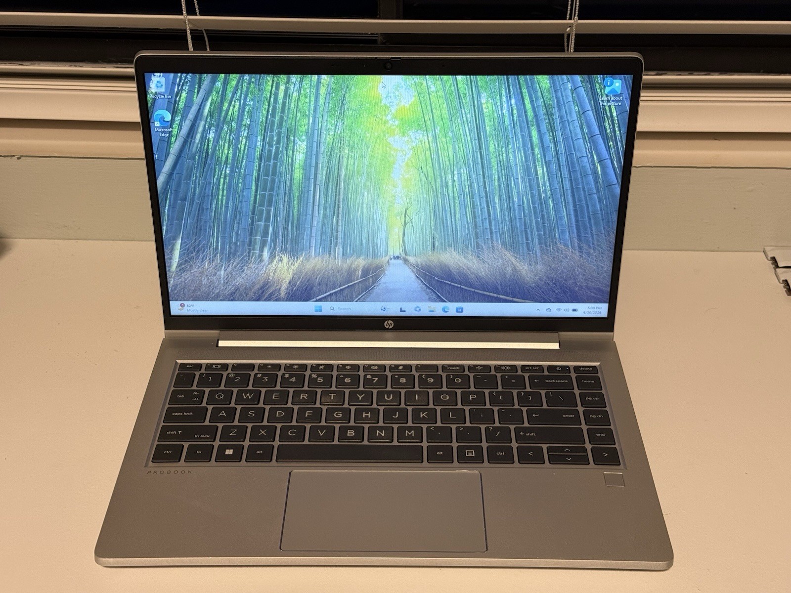 HP ProBook 440 G10 Intel Core i5-1335U, 12GB RAM, 256GB SSD Windows 11 *Read*