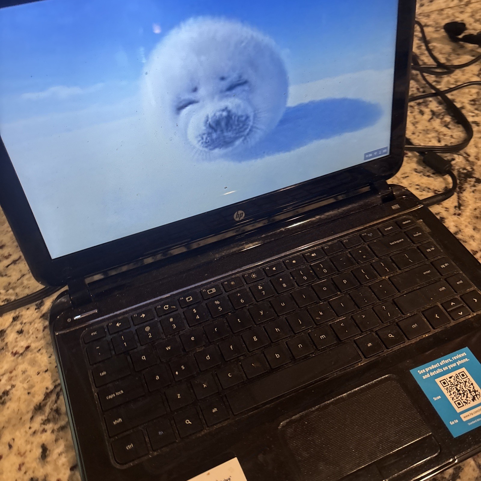 HP PAVILION 14 C050NR CHROMEBOOK INTEL CELERON 4gb Black USED VG FS