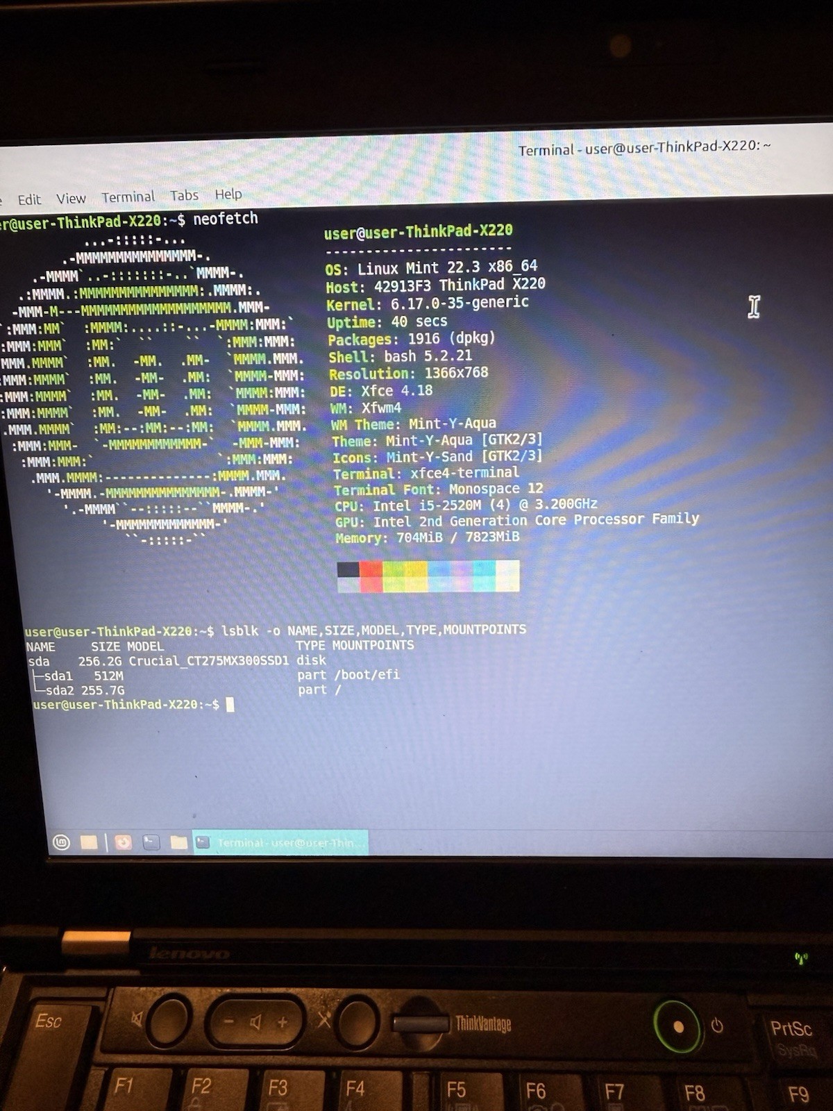 Lenovo ThinkPad X220 1366×768 i5-2520M 2.50GHz 8GB 256GB SSD Mint Modified BIOS