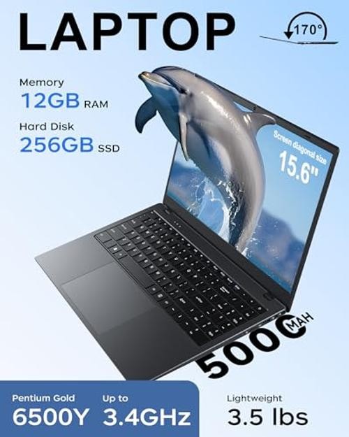 Laptop 15.6 Inch, 12GB RAM 256GB SSD, Pentium Gold 6500Y up to 3.4GHz, FHD Gray