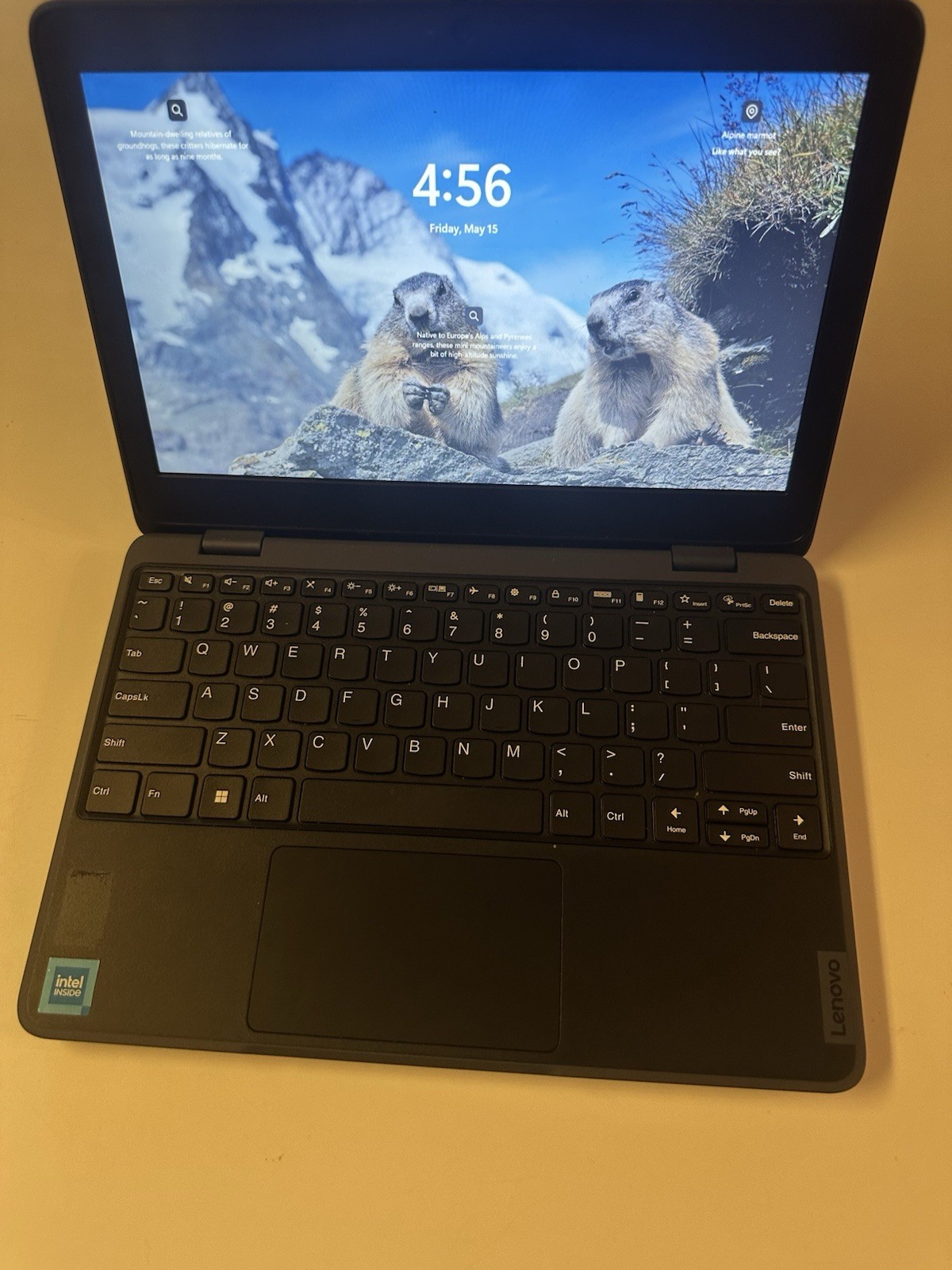 Lenovo 100 82VK0005US 11.6″ Notebook Gen 4 – HD – Intel N100 – 4 GB – 128 GB