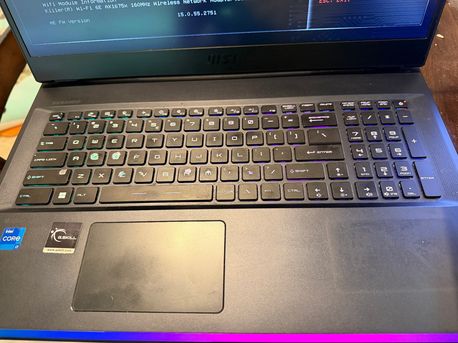 MSI GE76 Raider 11UE