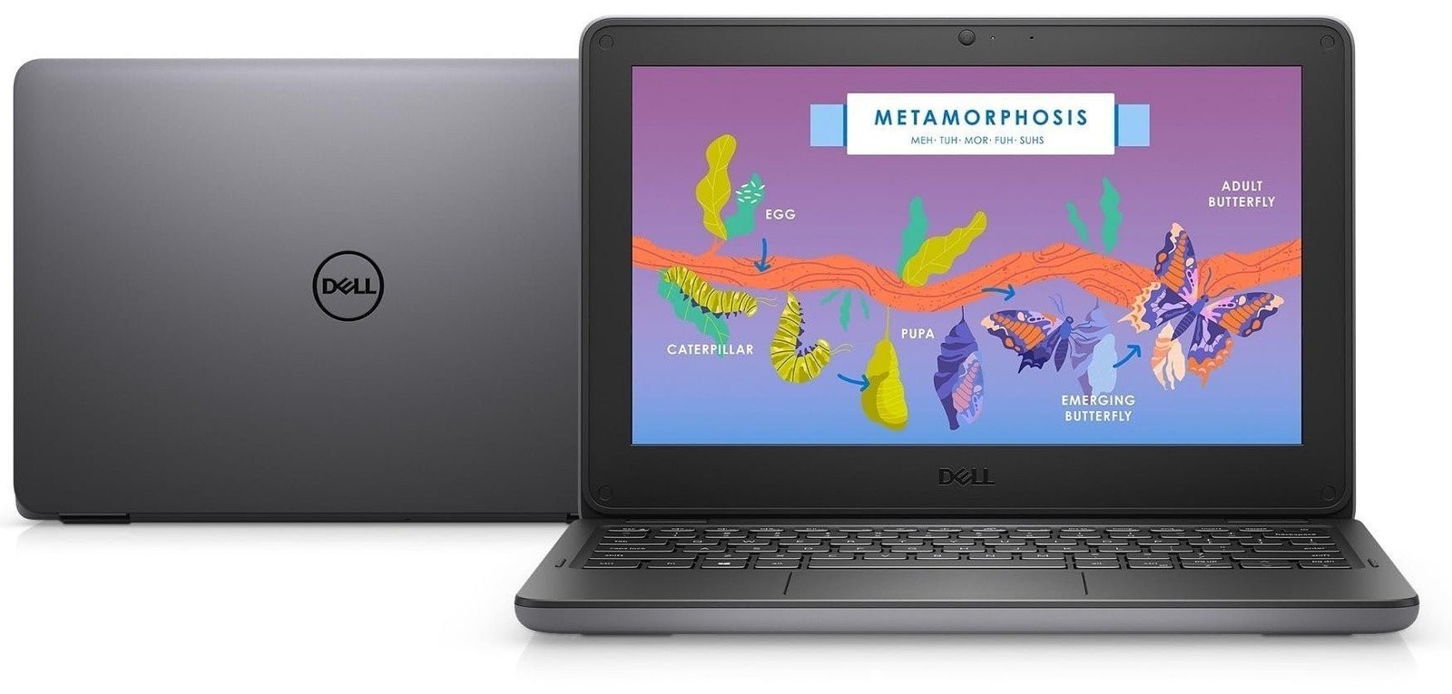 Dell Latitude 3000 3140 2-in-1 | 11.6″ TS, Intel N200, 8GB, 256GB, Win 11 Pro