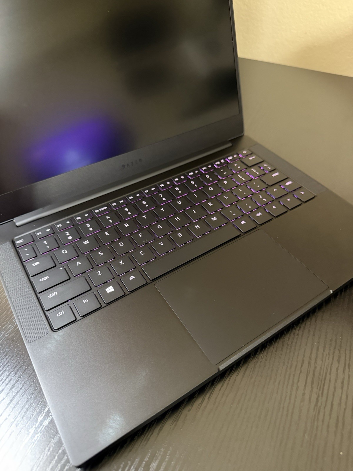 Razer Blade Stealth 13 i7-8565U 256GB SSD NVIDIA MX150 + Charger + Backpack