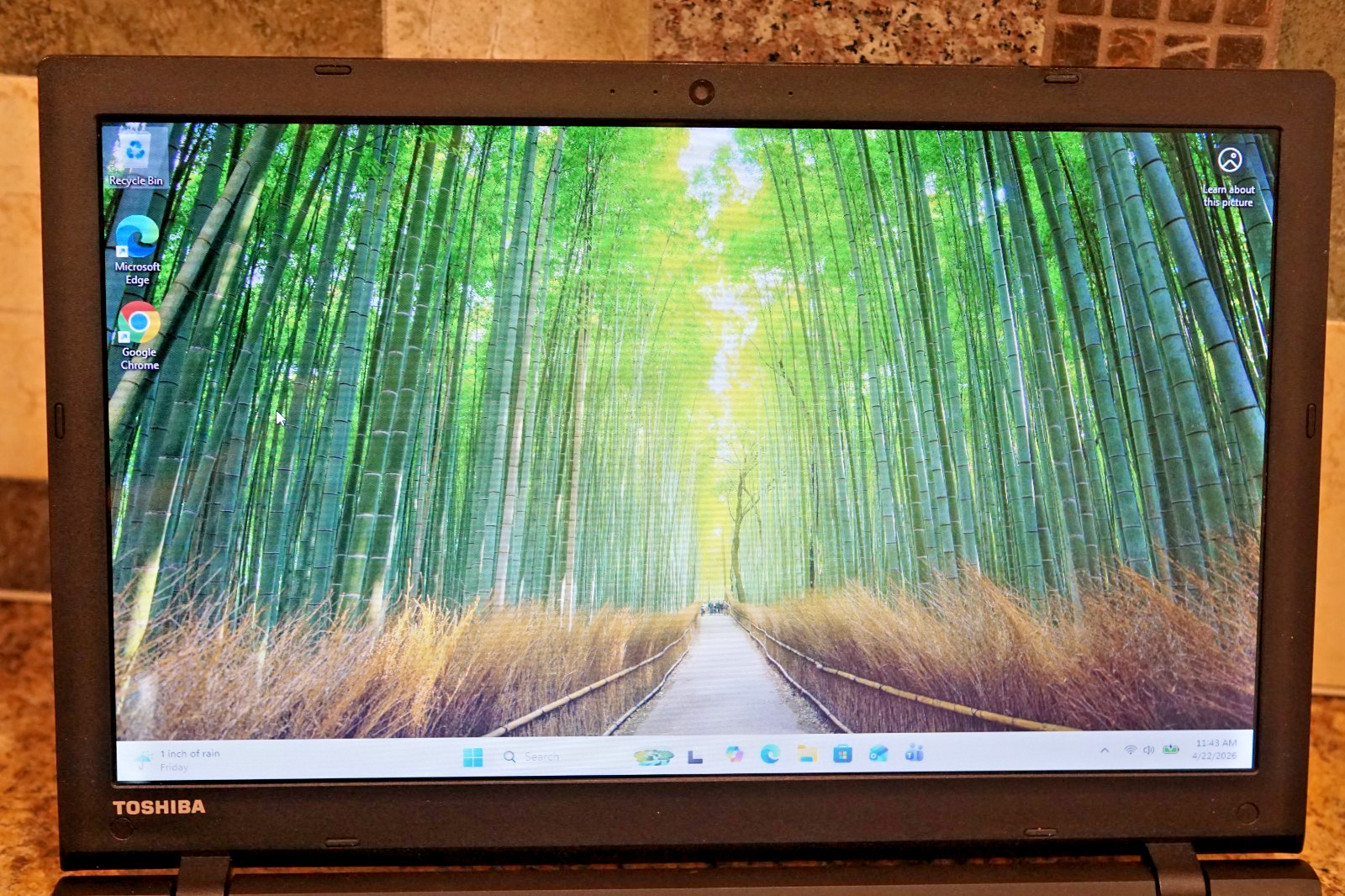 Active 25H2 WIN11 PRO Toshiba C55-C5270 i3-4005U @ 1.70GHz,8GB RAM,120GB SSD