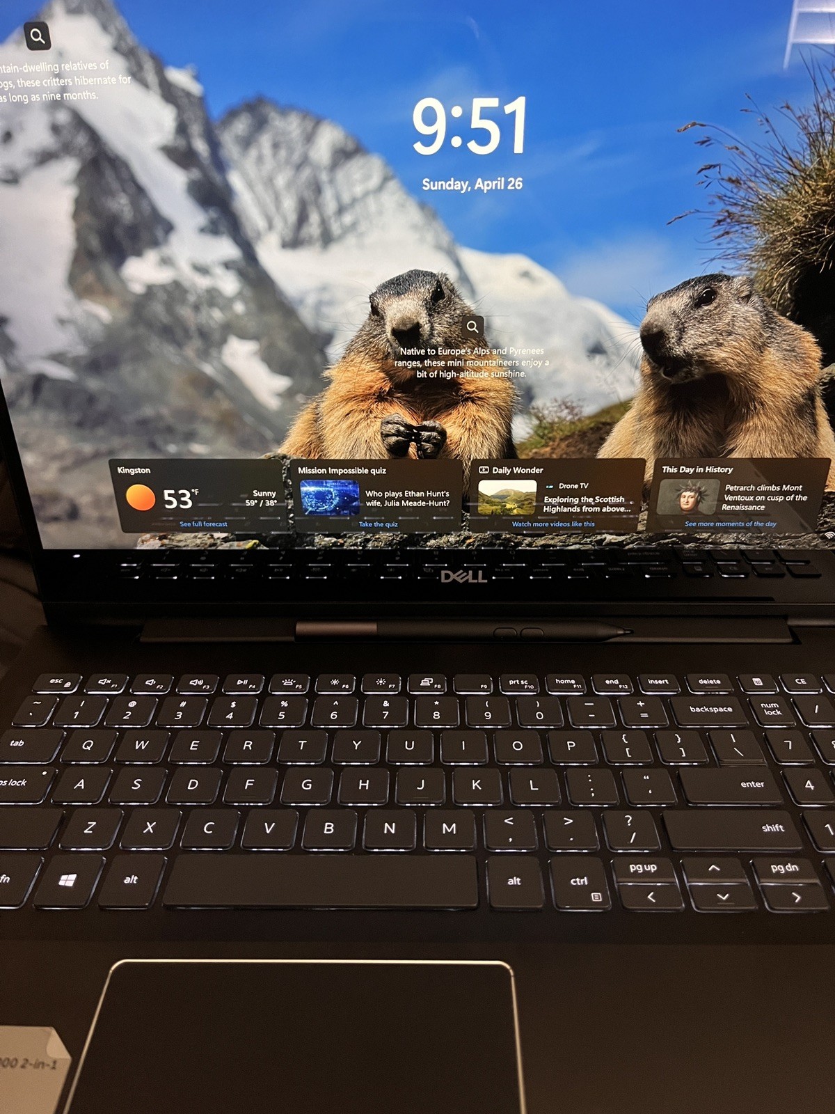 Dell Inspiron 7591 2in1 15.6 inch i7-10510U 4K Display TOUCH STYLUS 32Gb 512Gb