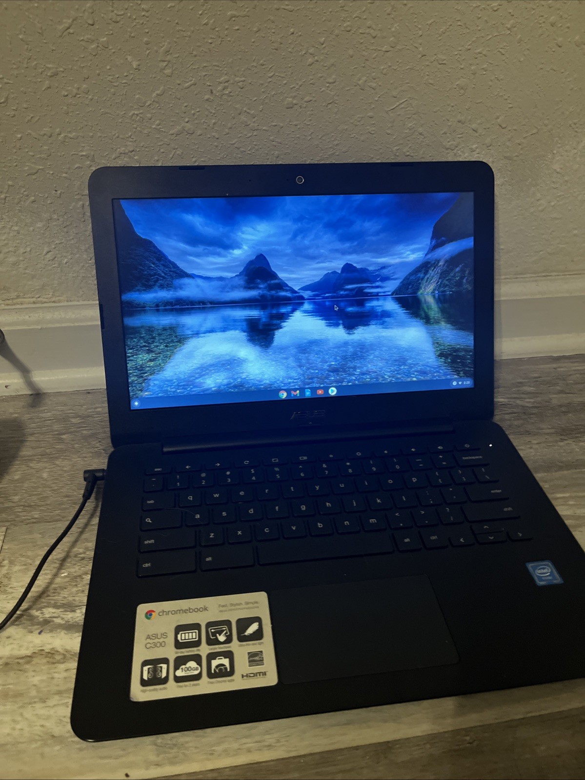 ASUS Chromebook C300 Intel Celeron N3060 Laptop 4GB RAM, 16GB SSD,Webcam & Cable