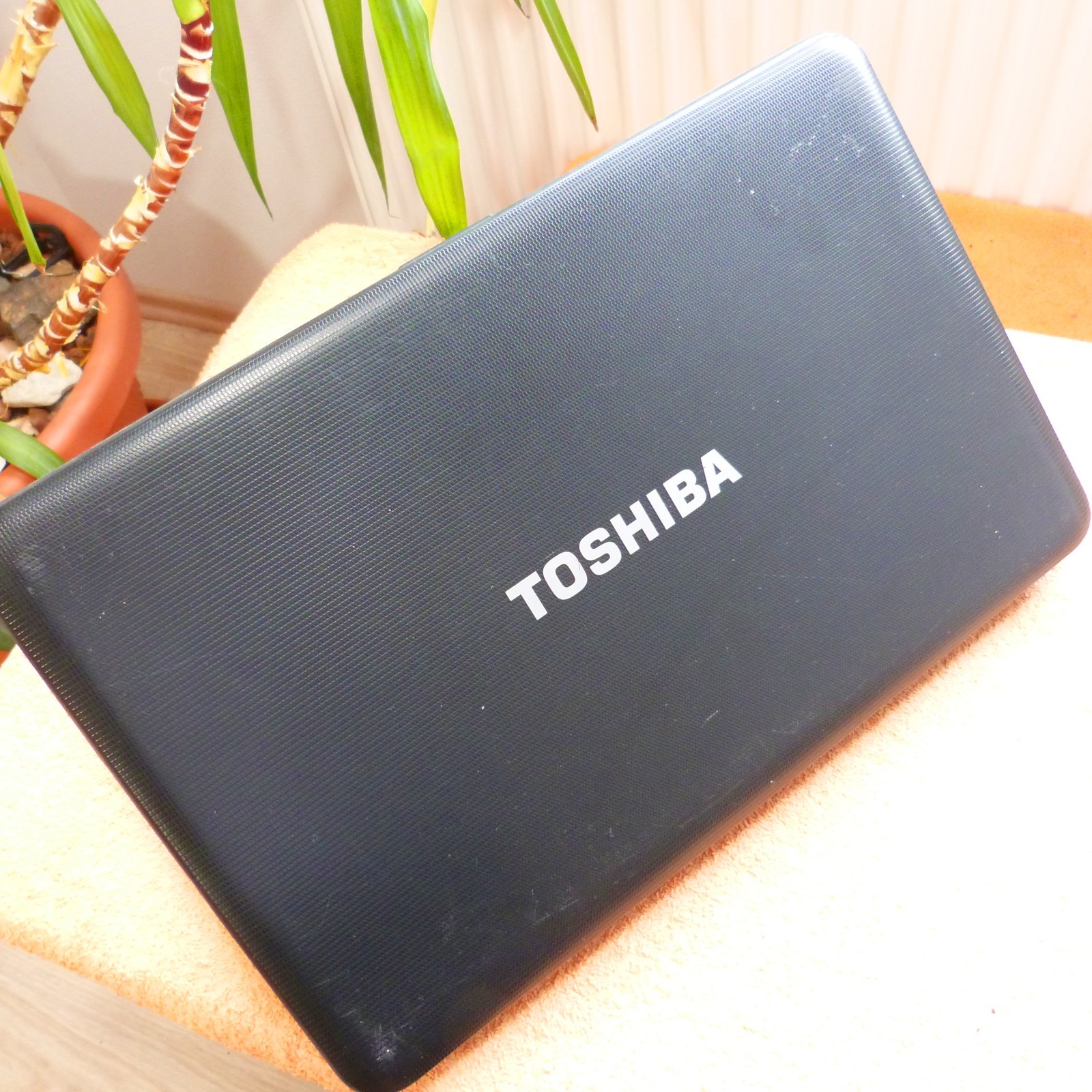 XXL LOT Toshiba C850 15″ HD l 8GB RAM NEW l SSD Windows 11 HDMI USB3 DVDRW