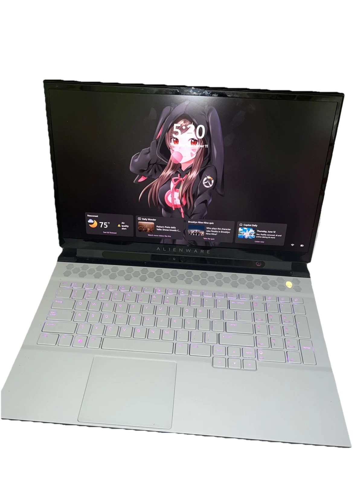 Alienware m17 R3 i9-10980HK 32GB RAM 1.5TB SSD RTX 2080 Super 17.3” 4K UHD