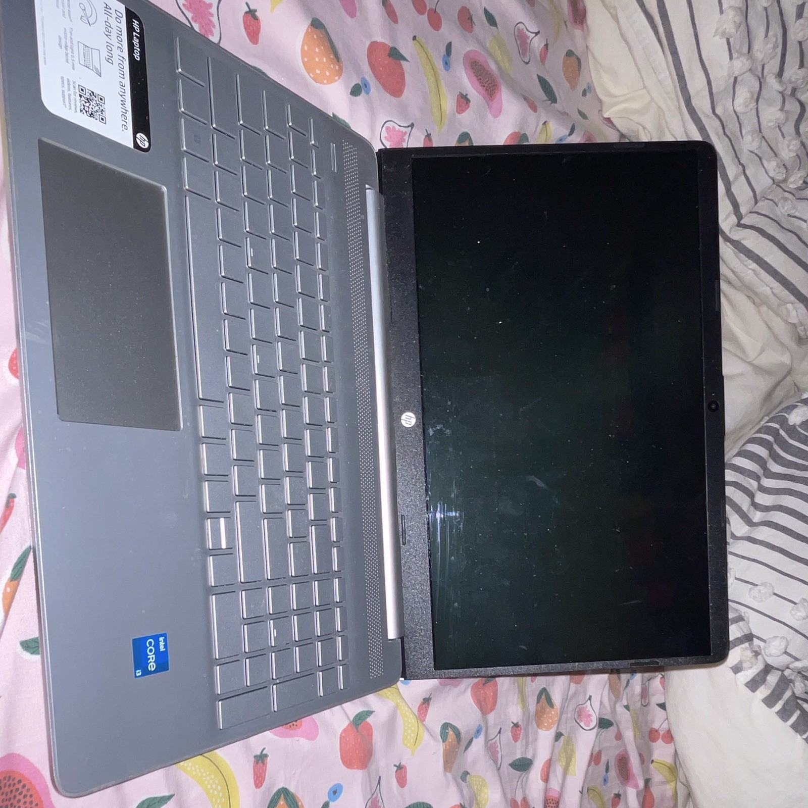 Girlie Sticker HP Touchscreen Laptop Silver with Charger