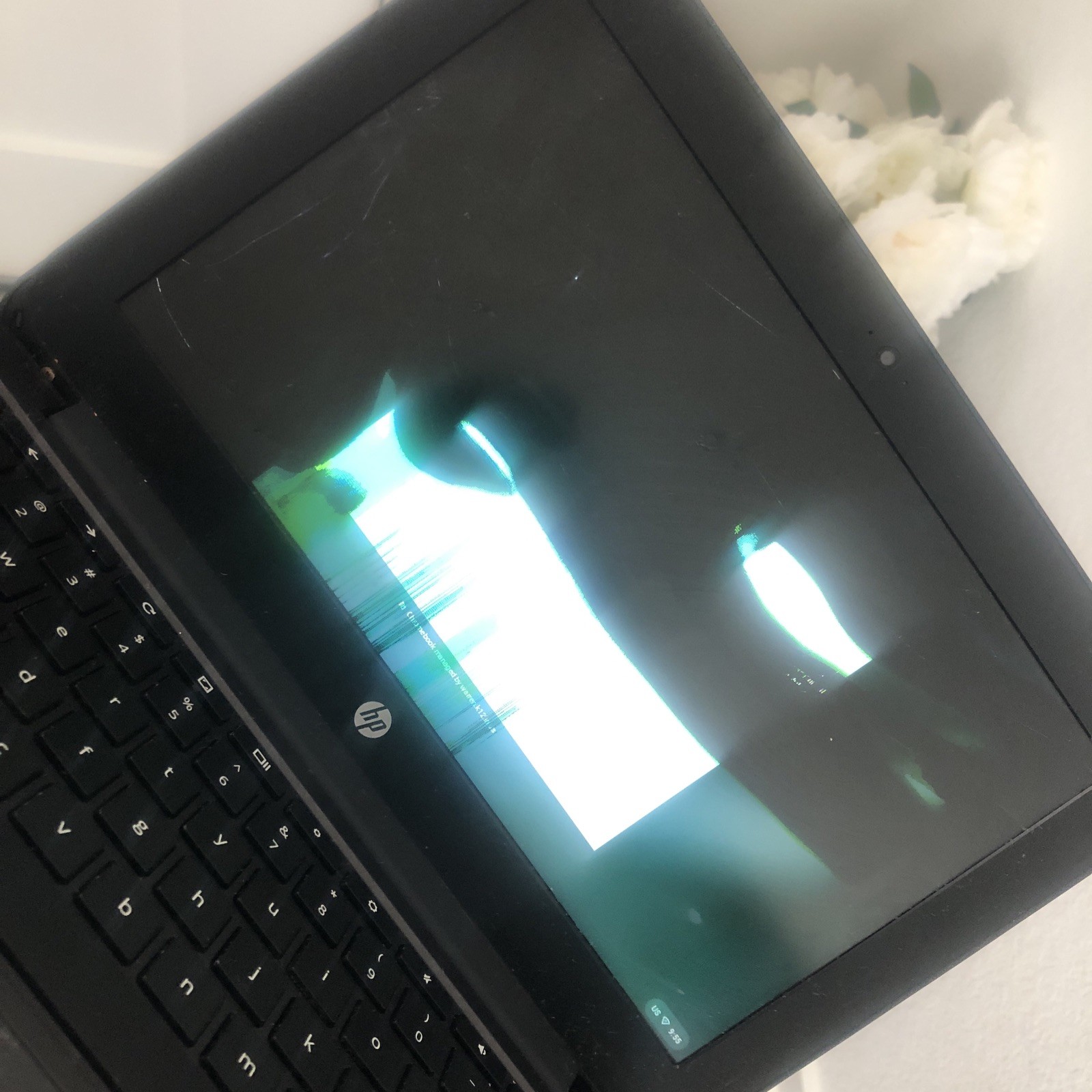 Hp Chromebook TPN-Q151