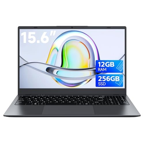 Laptop 15.6 Inch, 12GB RAM 256GB SSD, Pentium Gold 6500Y up to 3.4GHz, FHD Gray