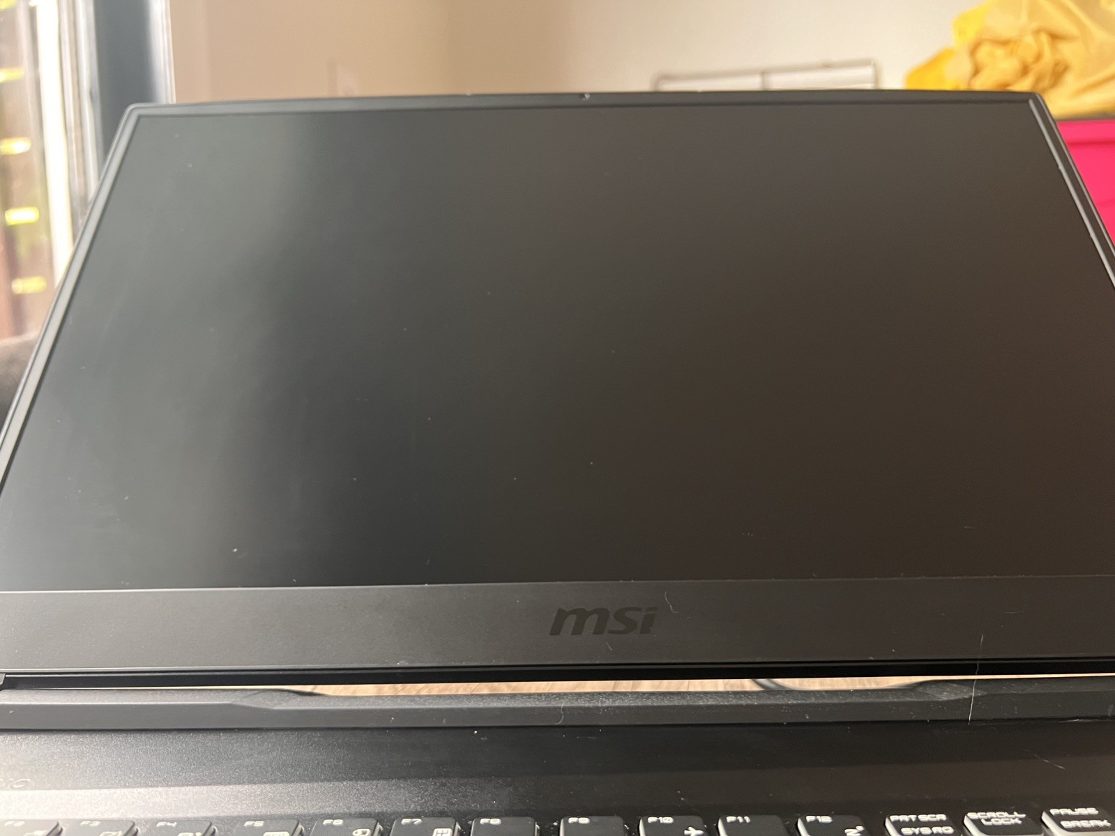 MSI GE75 Raider 17.3 inch (1TB + 512GB, Intel Core i7 10th Gen., 2.60GHz, 16GB)