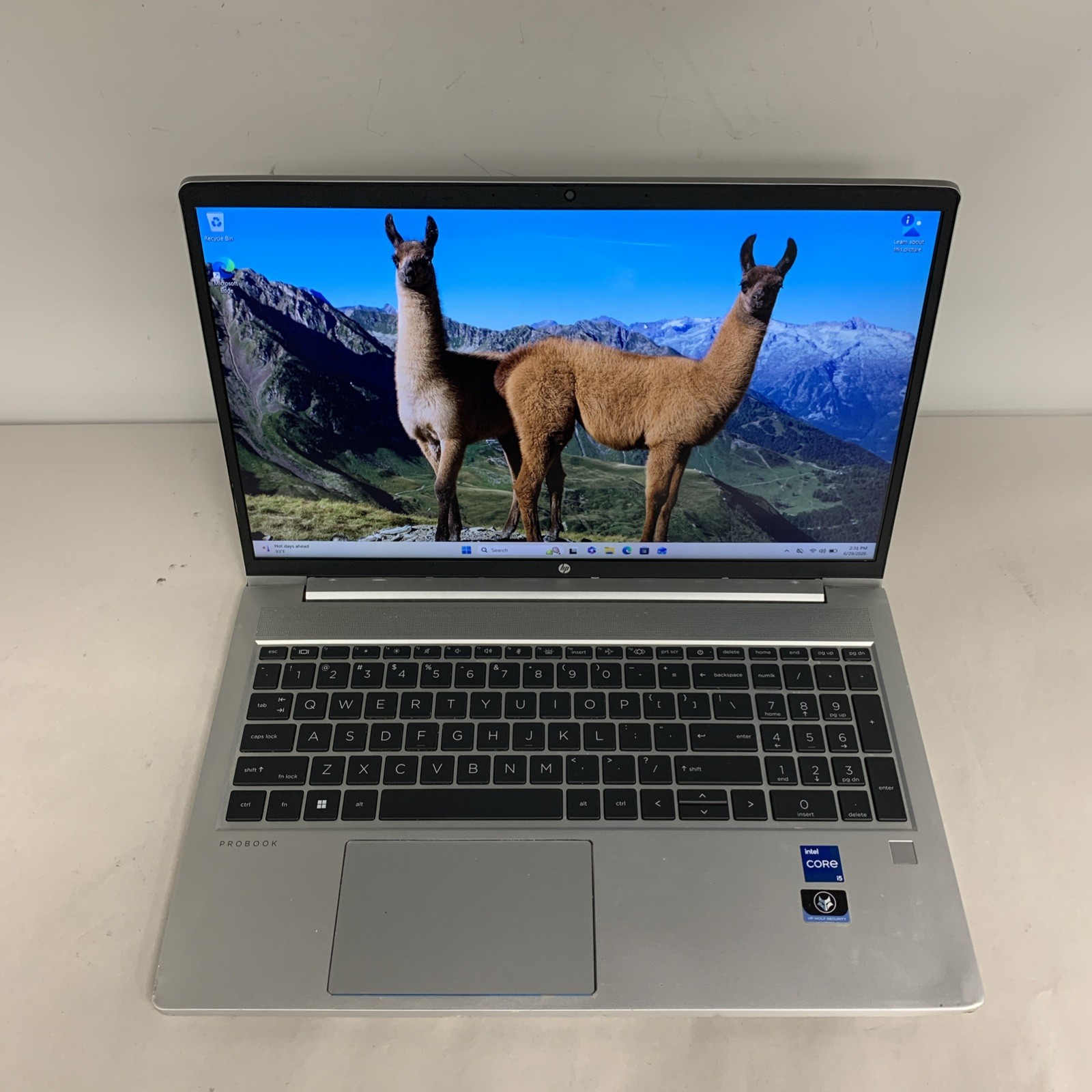 HP ProBook 450 G8 i5-1135G7 16GB RAM 256GB SSD Win11 Pro