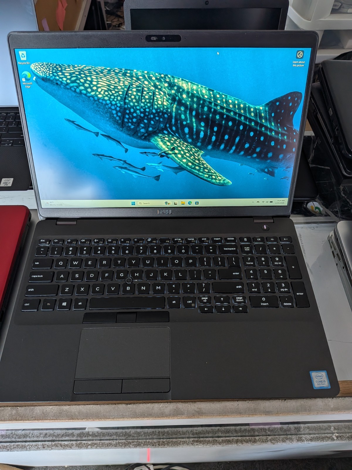 DELL LATITUDE WINDOWS 11 64 BIT 8GB RAM 256GB SSD QUAD CORE I5