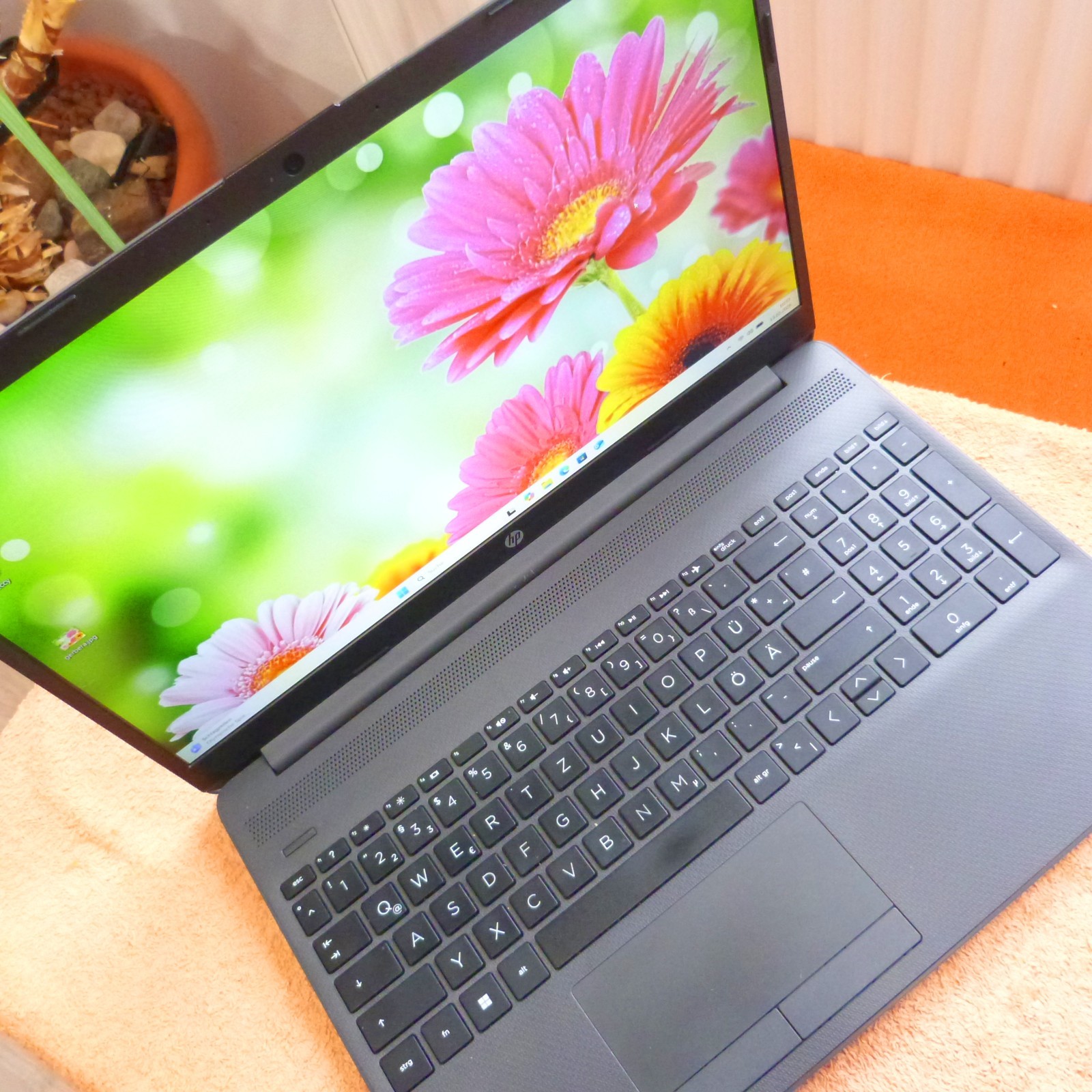 HP 255 G8 ULTRABOOK 15″ FULLHD l RYZEN 5 HEXA l SSD HDD Windows 11 HDMI USBC