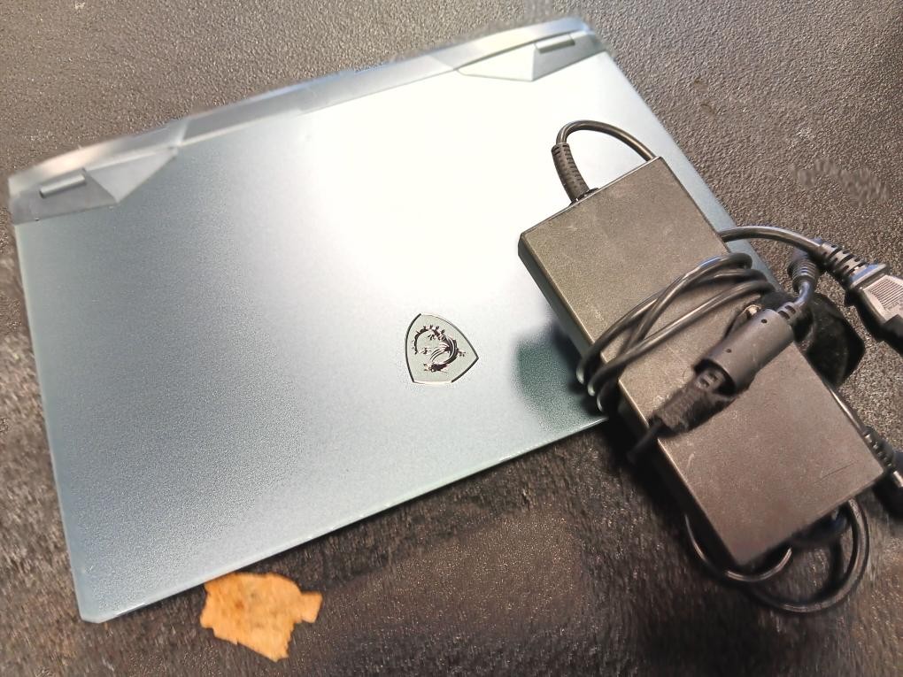 MSI COMPUTER GE66 RAIDER (P17031897)