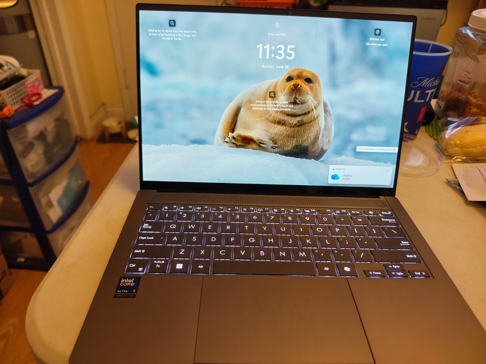Great condition zenbook s14 oled laptop with Intel 258V (2025), 1TB ssd Grey